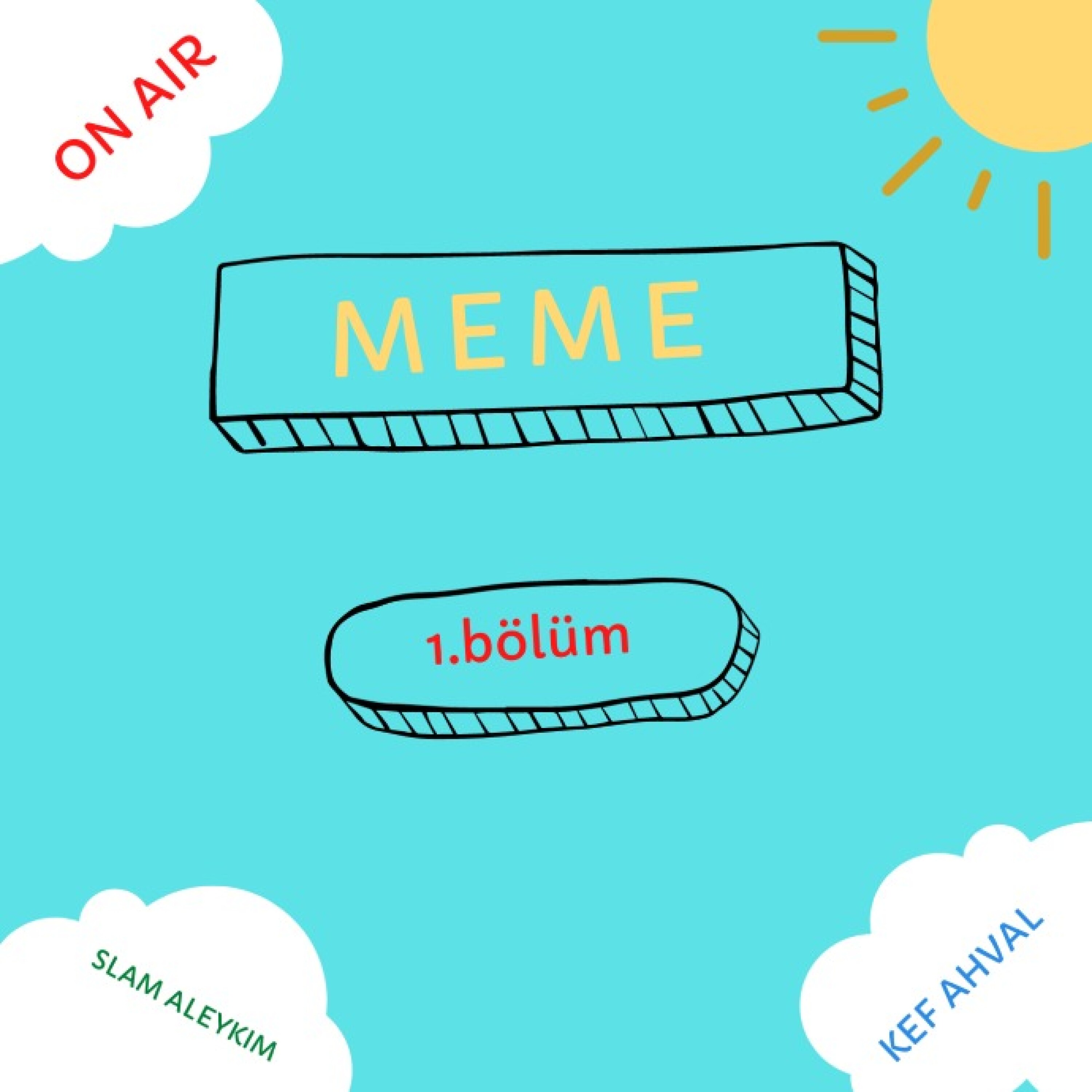 1.MEME