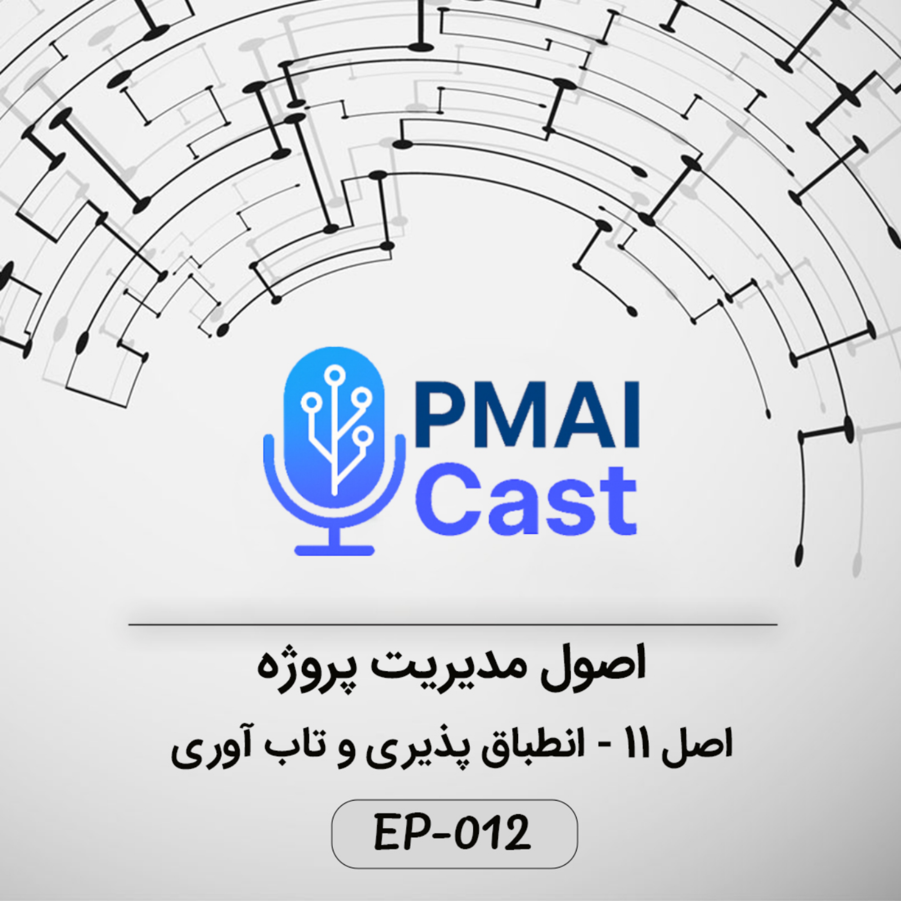 کاور ٍEP-012- اصول مدیریت پروژه - انطباق پذیری و تاب آوری
