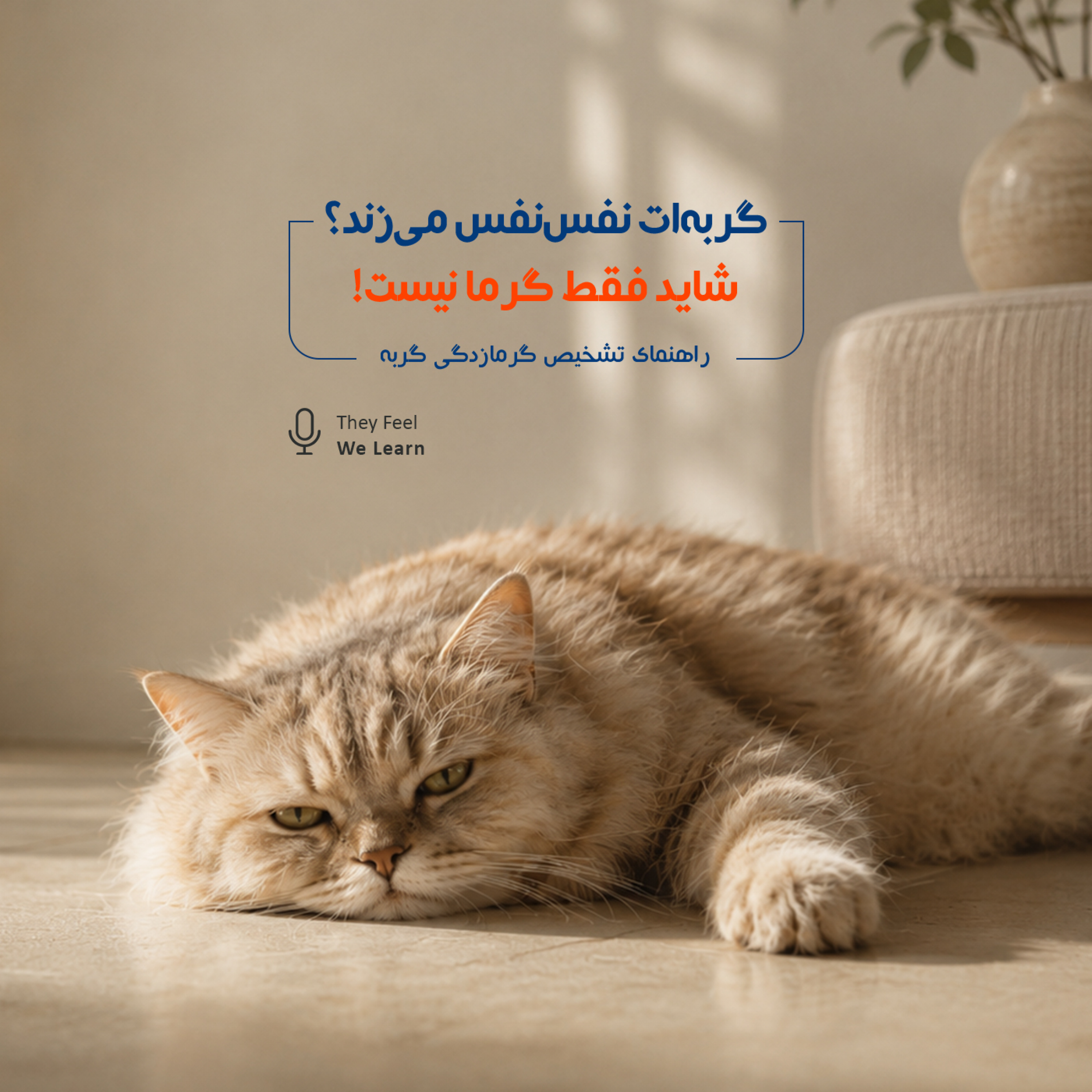 کاور گرمازدگی گربه | اپیزود ۱