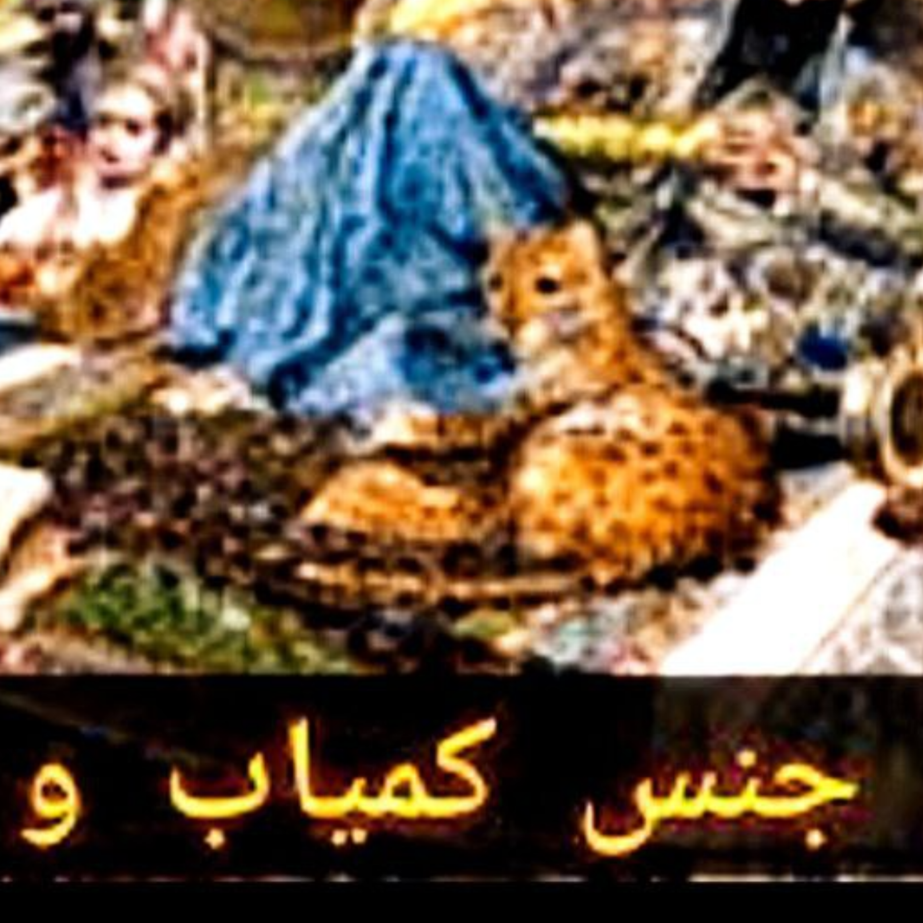 کاور جنس کمیاب و گران