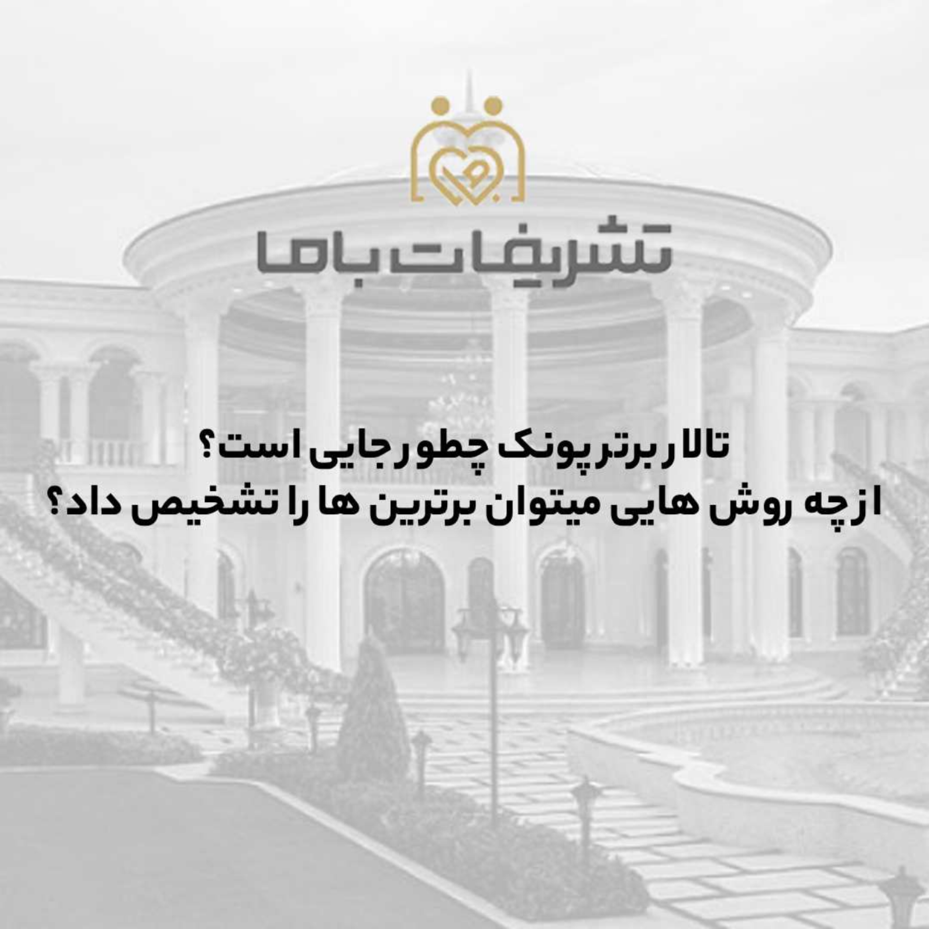 کاور تالار برتر پونک چطور جایی است؟ از چه روش هایی میتوان برترین ها را تشخیص داد؟