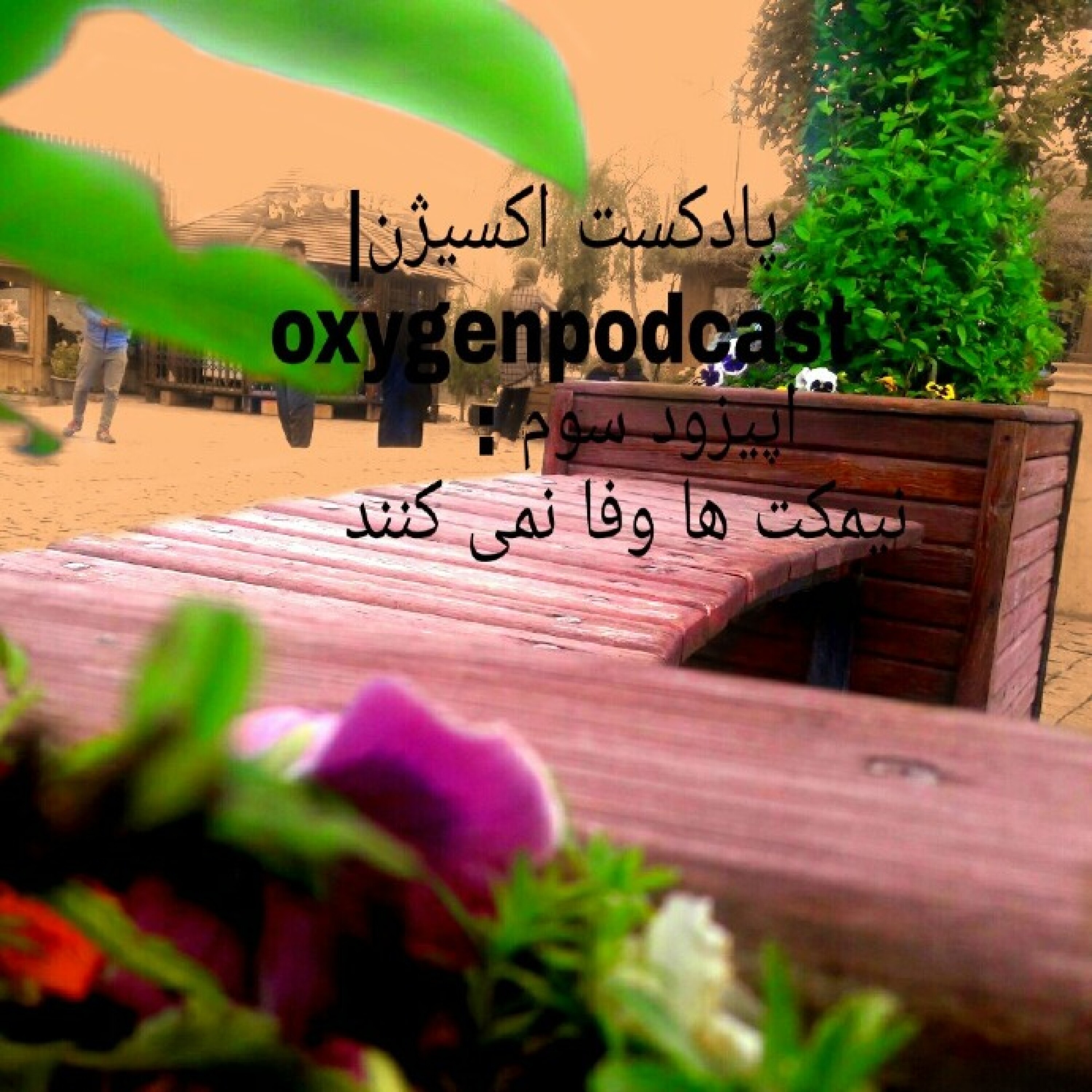 نیمکت ها وفا نمیکنند