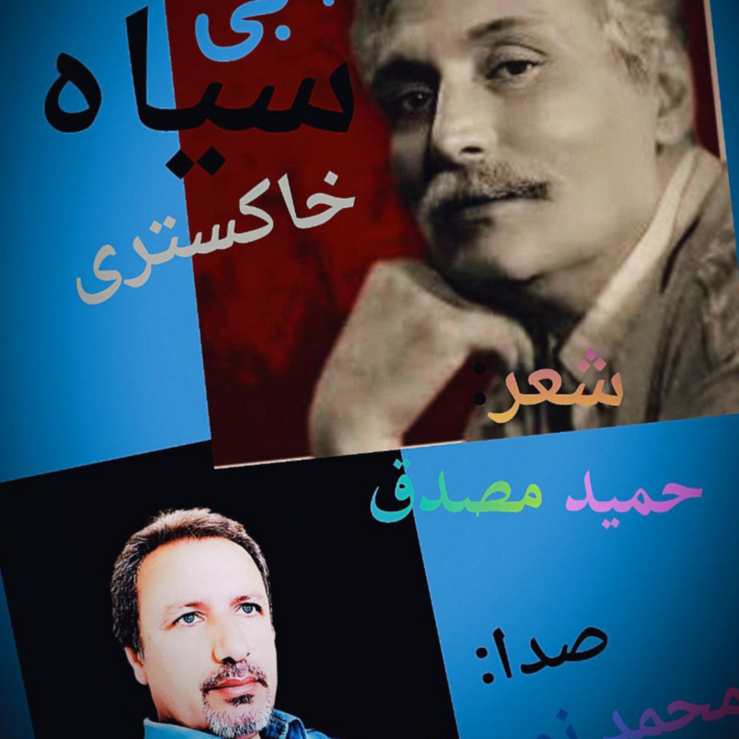 کاور آبی سیاه خاکستری