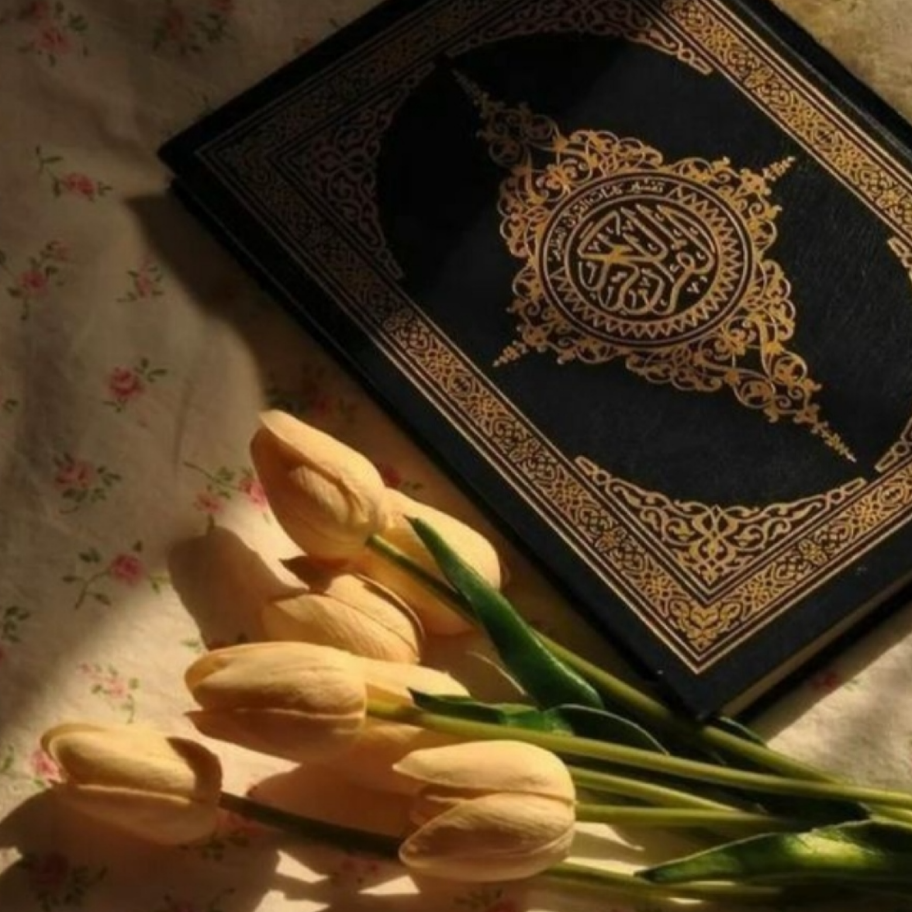 کاور Persian translation of Quran