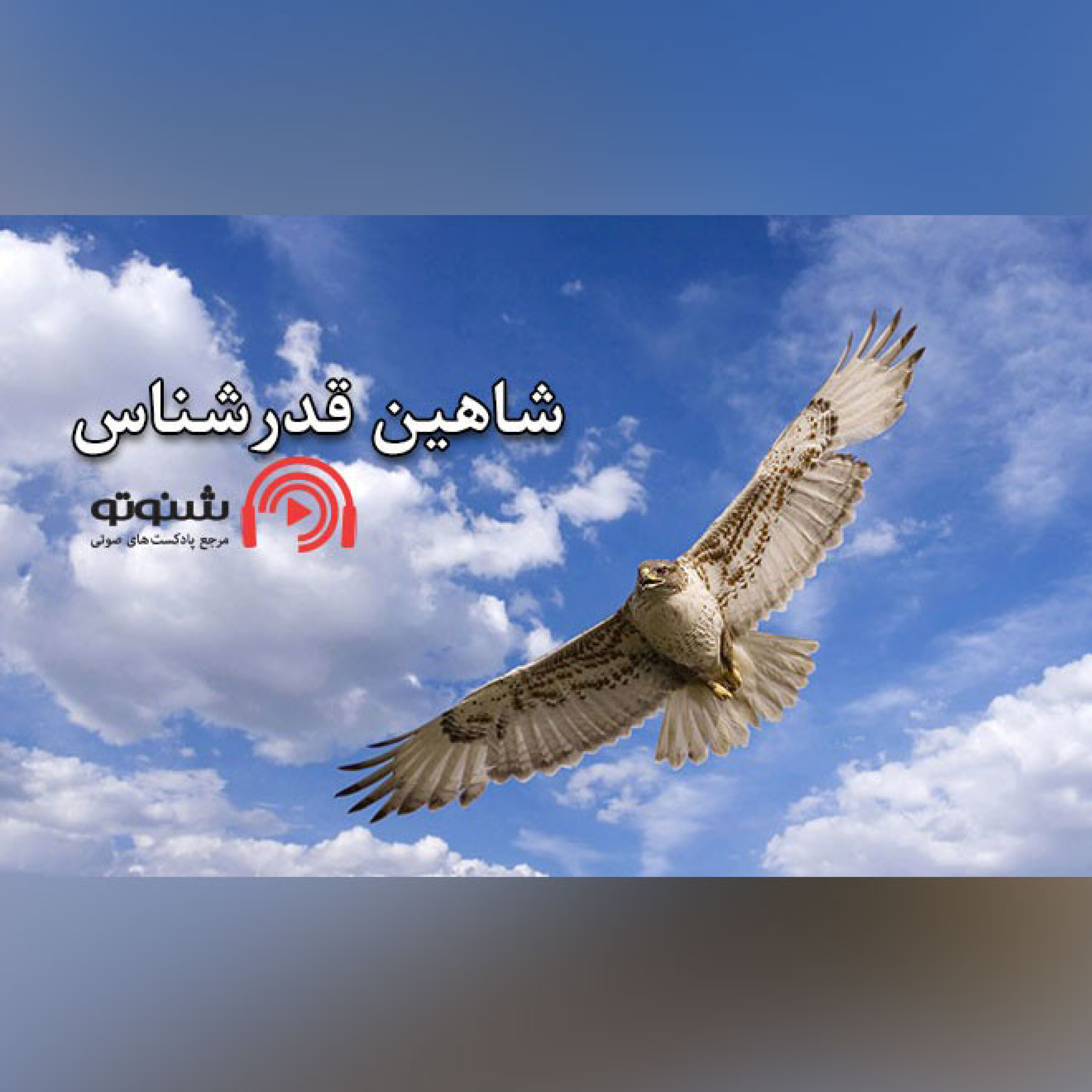 کاور شاهین قدرشناس