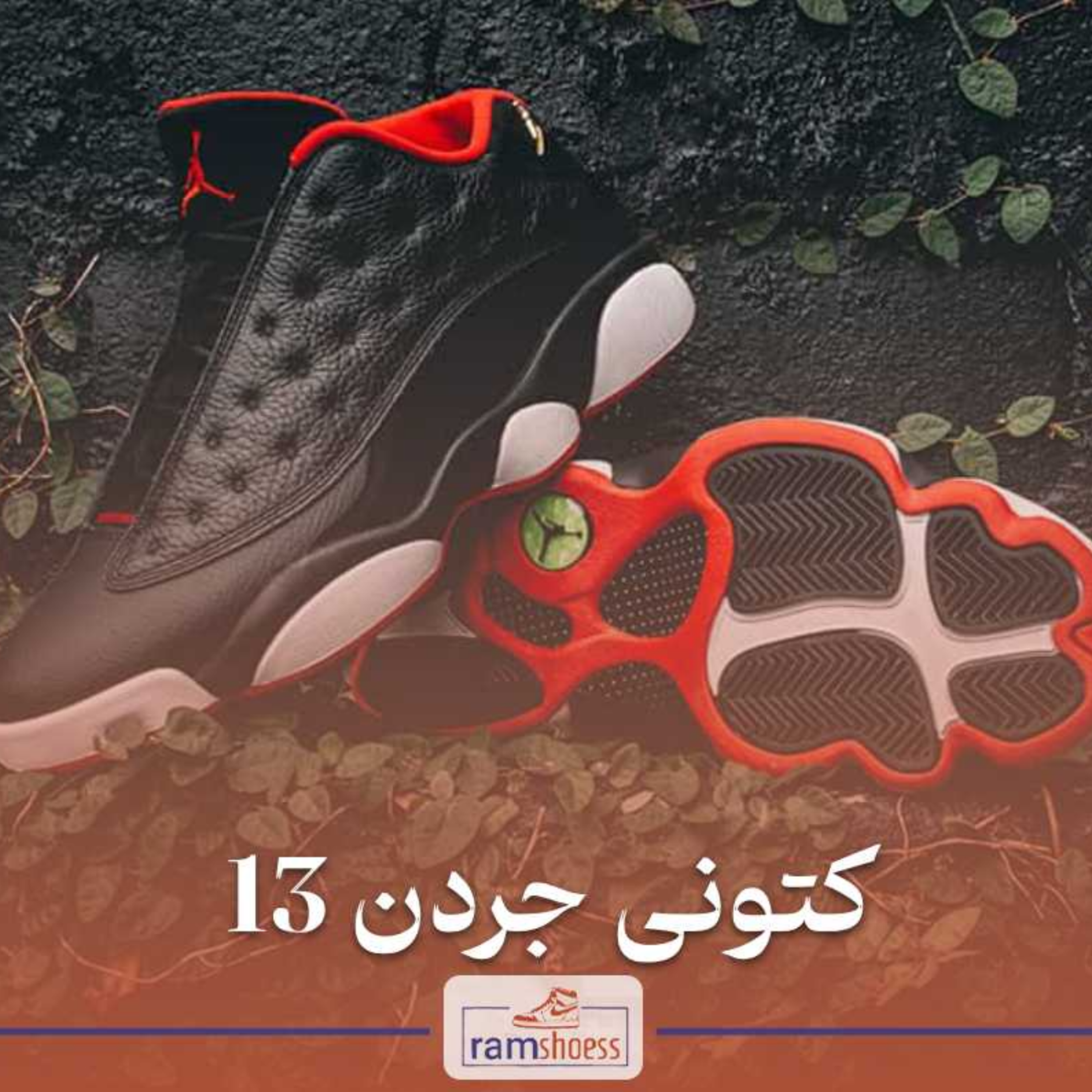 کاور کتونی جردن 13