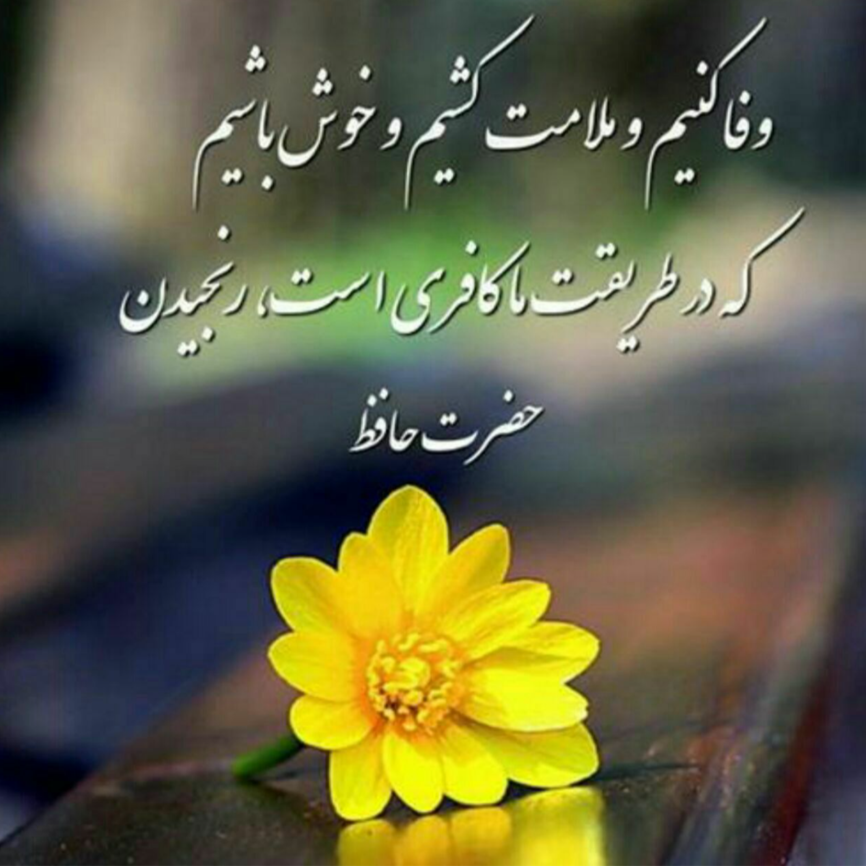 کاور در کوچه سار شب