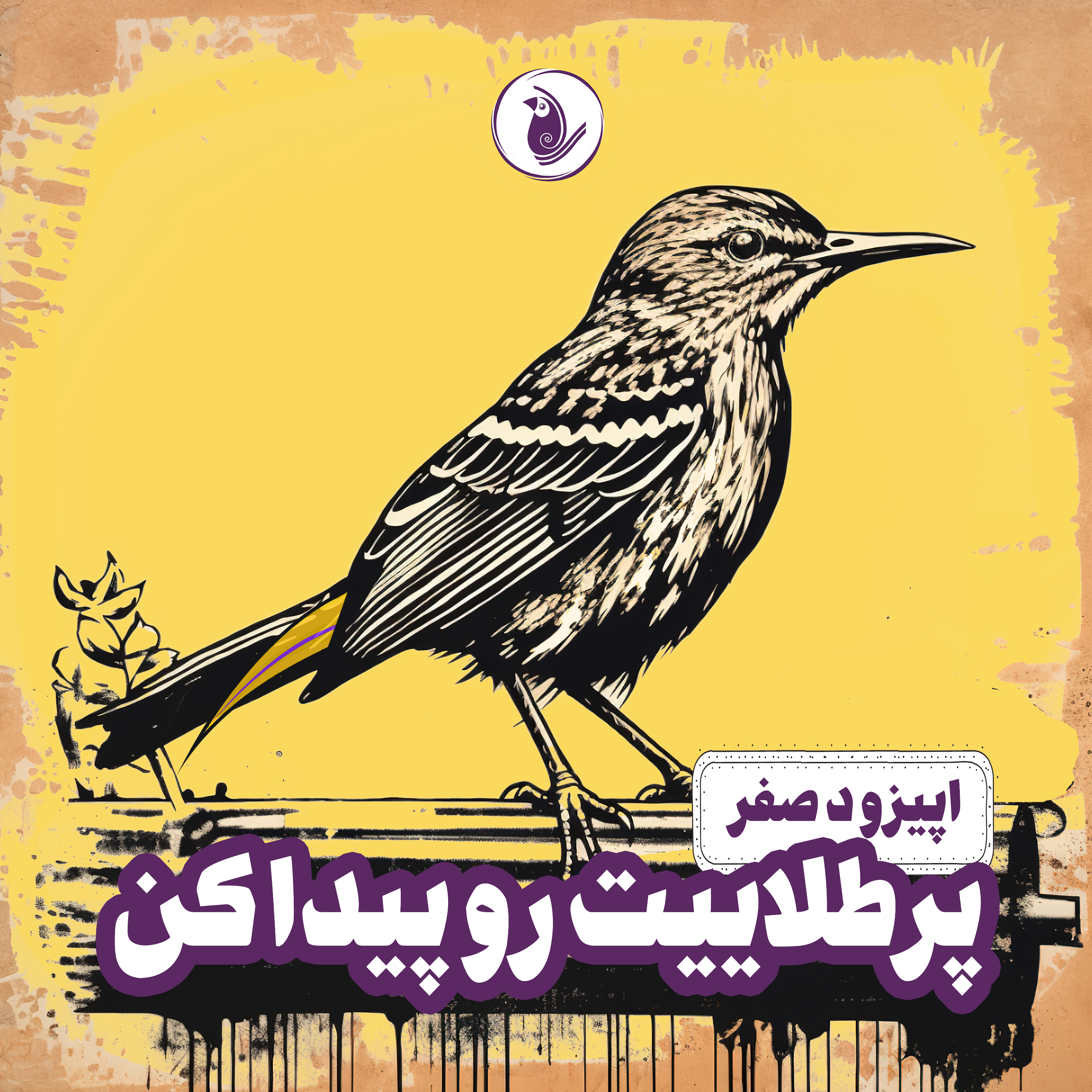 کاور اپیزود صفر: پر طلاییت رو پیدا کن