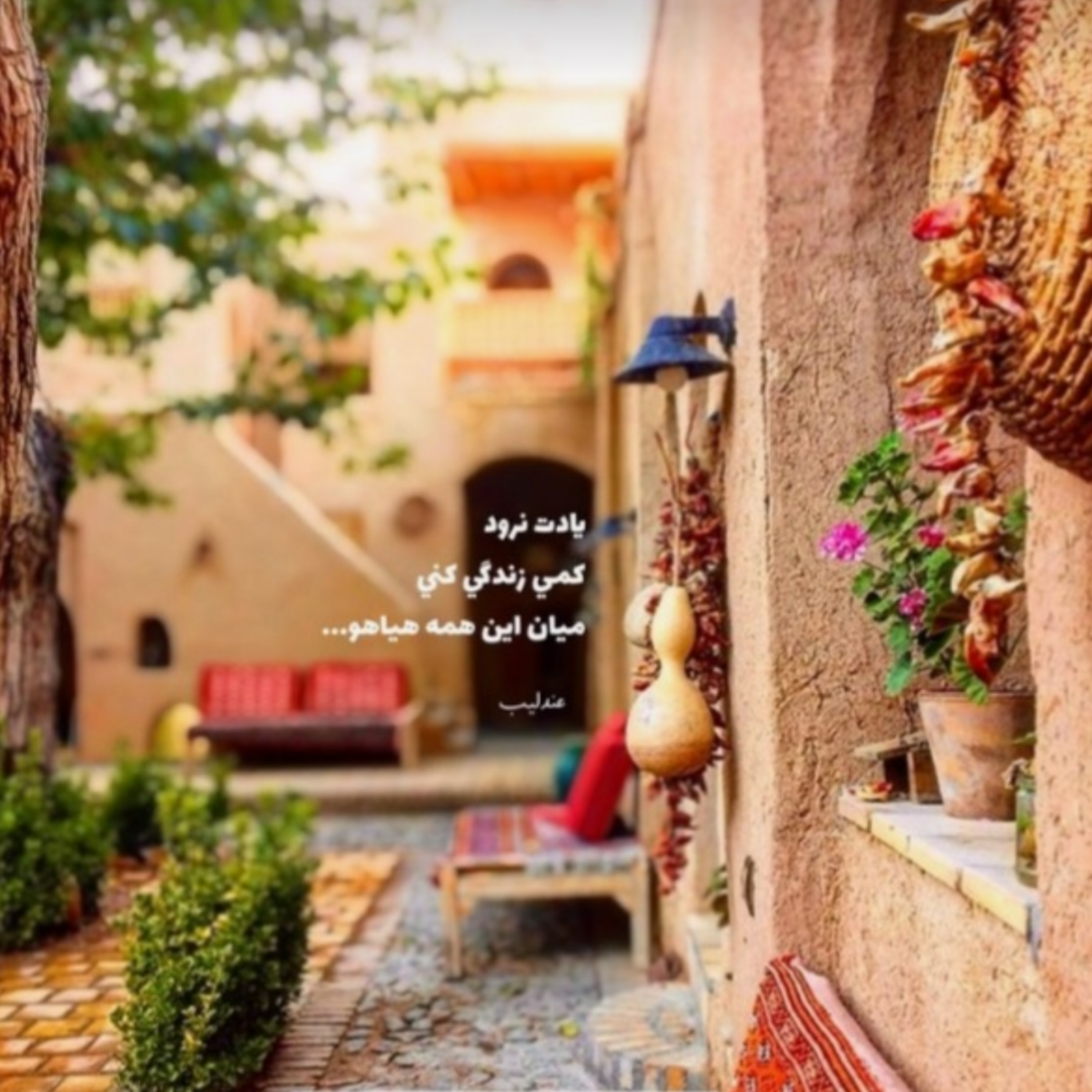 کاور هیاهوی زندگی