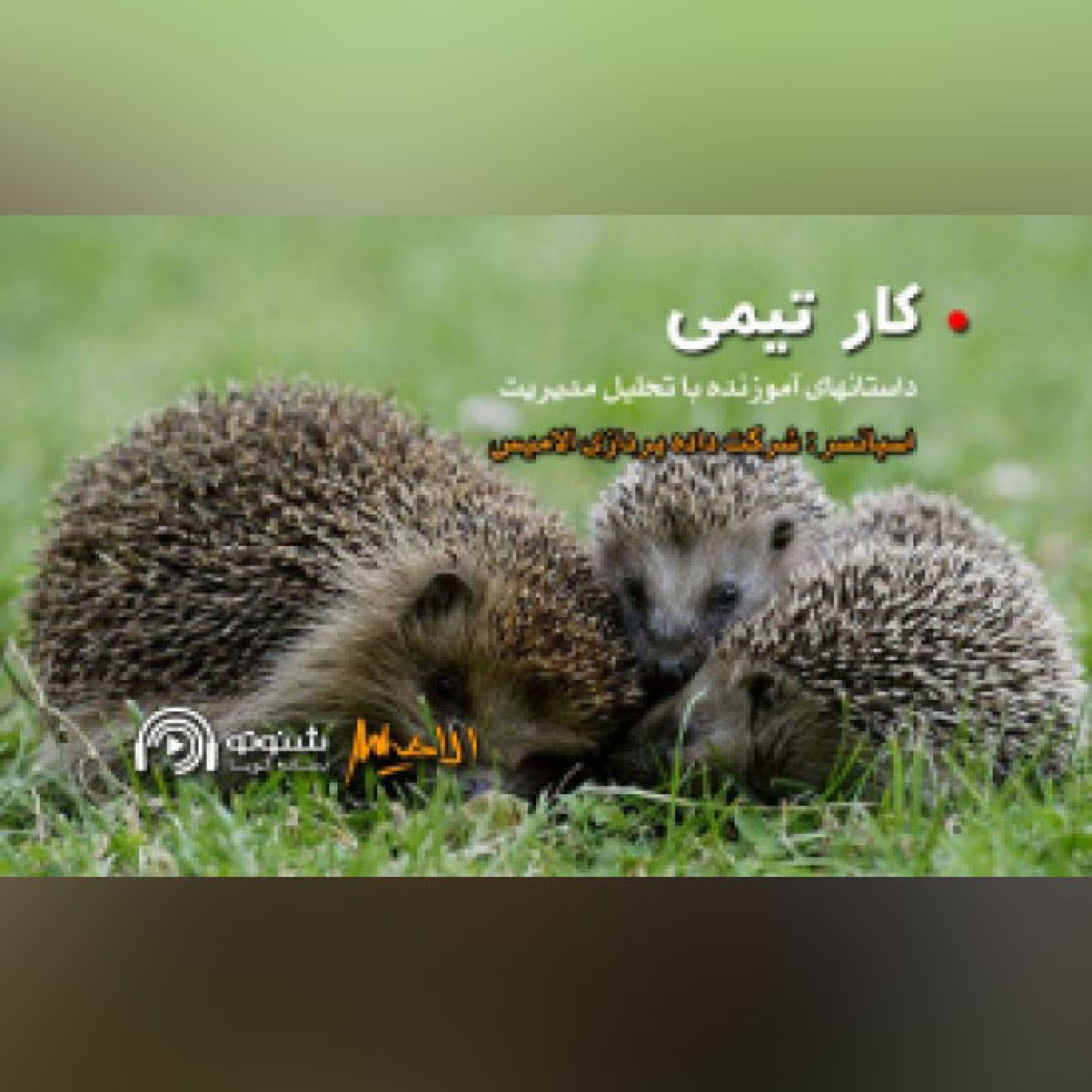 کاور کارتیمی