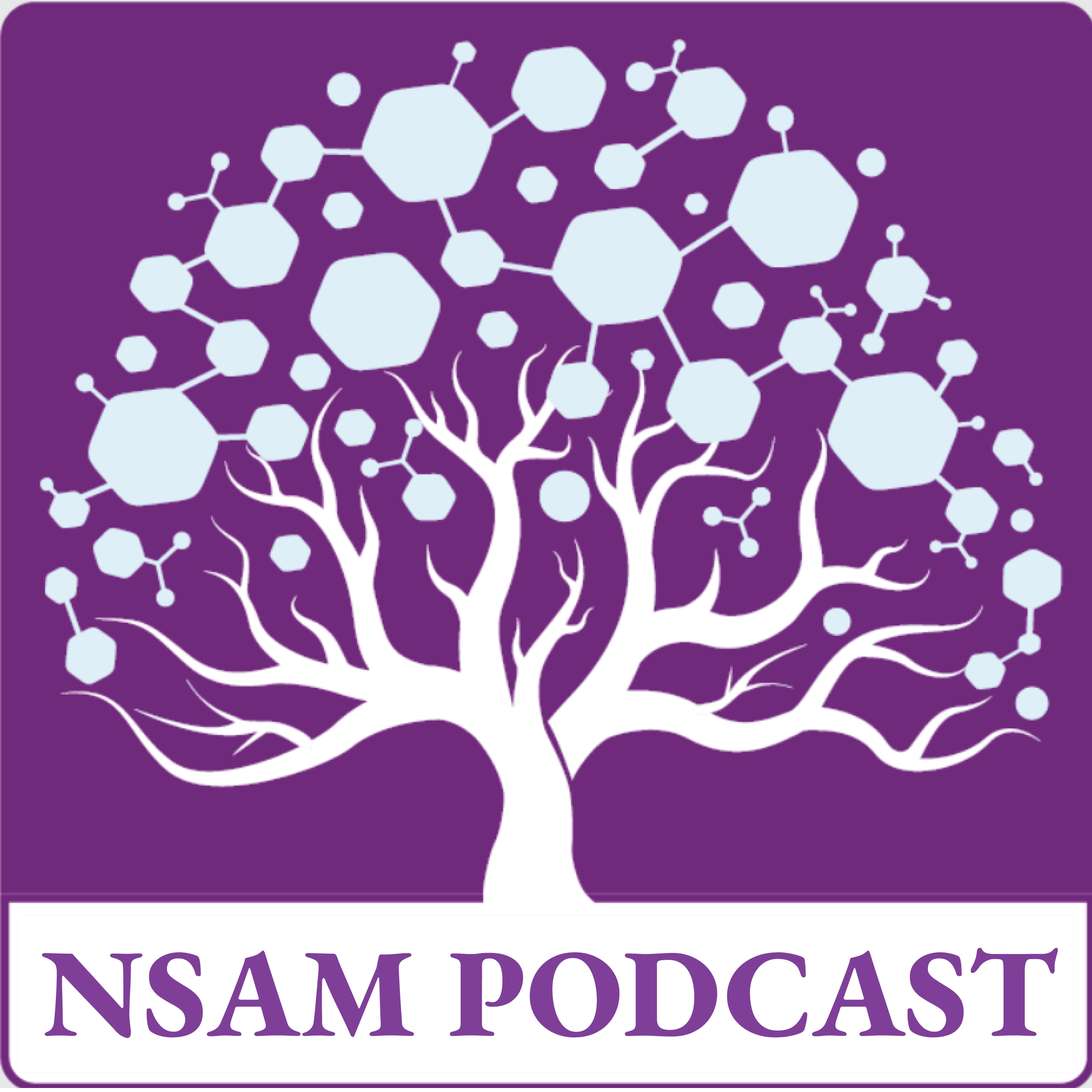 کاور Volume 1, Issue 1🎧 Ep. 3. Recent Progress in Graphdiyne-based Heterostructured 2-D ...