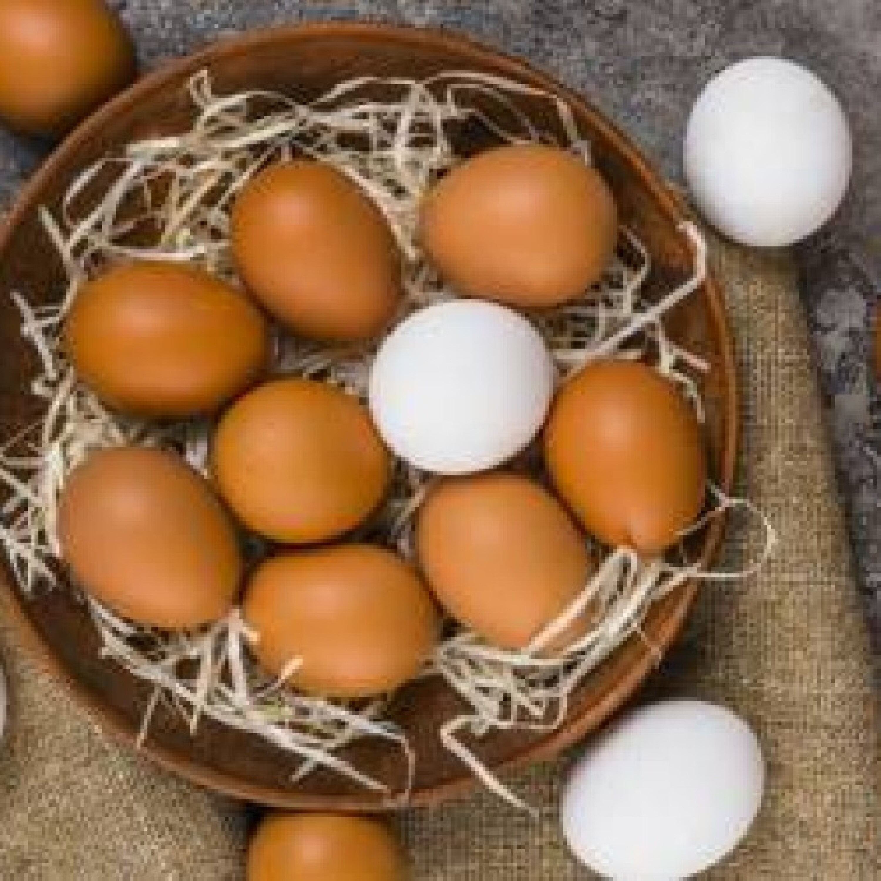 یک شانه تخم مرغ
