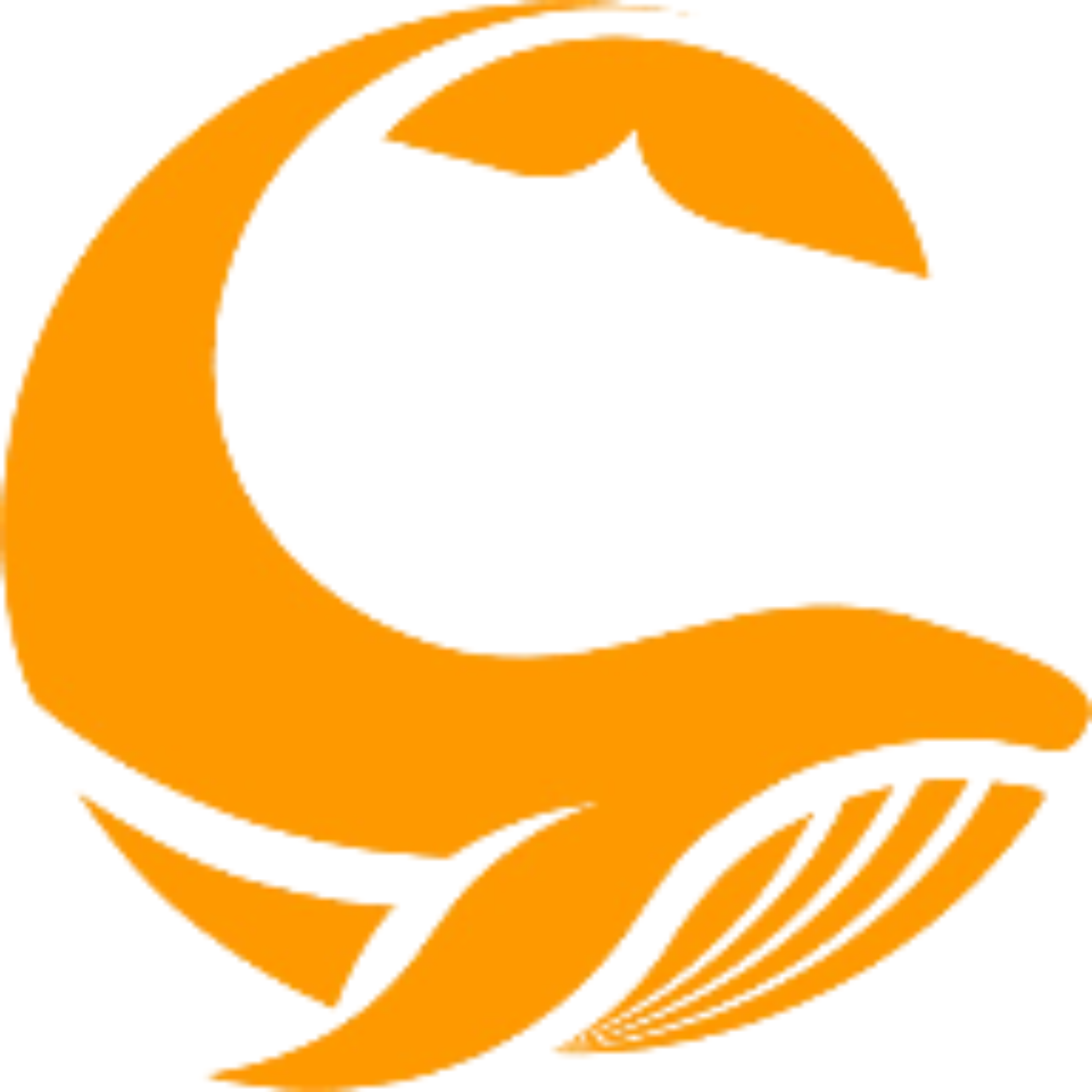کاور صرافی کوینومنت