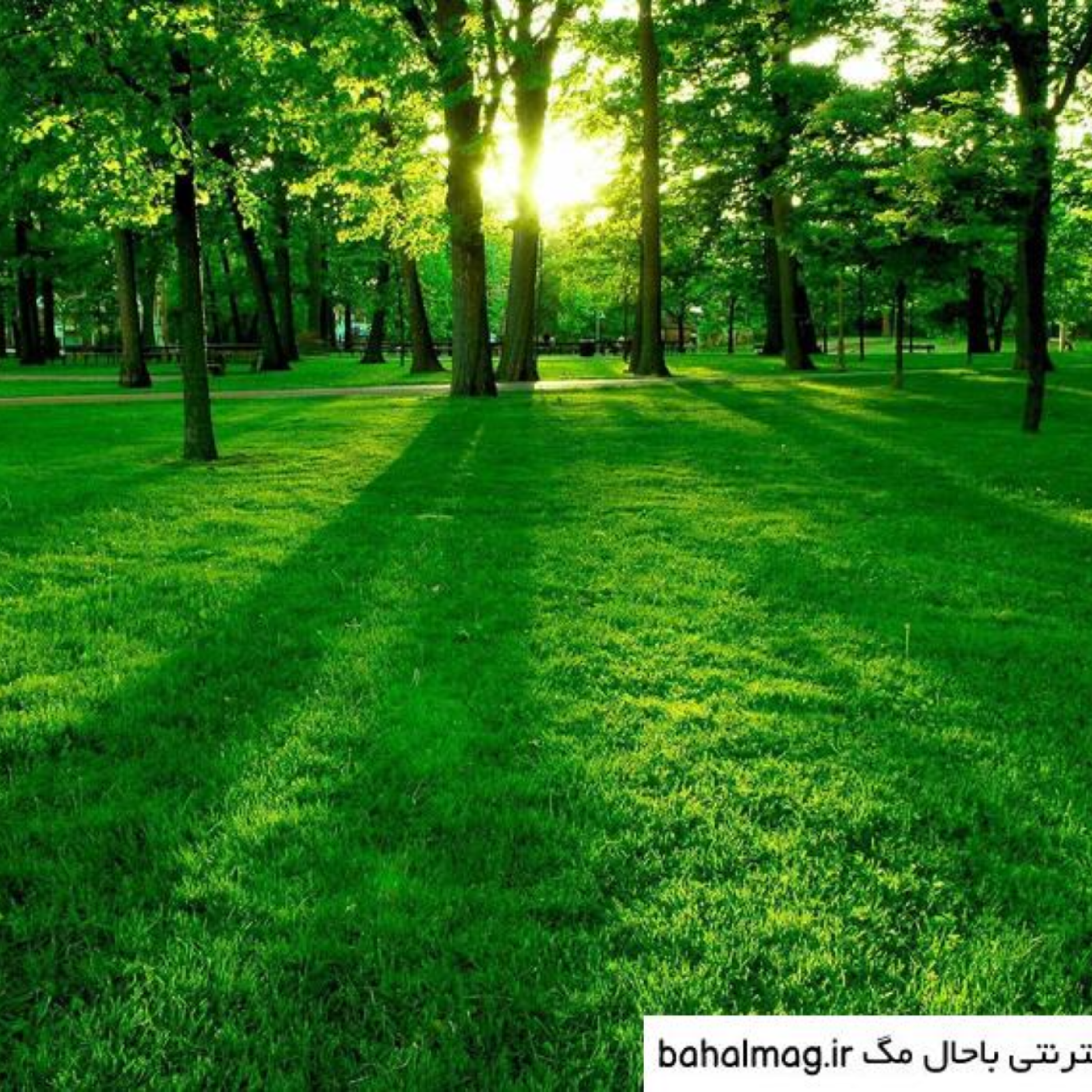 کاور قوانین طبیعت، بسیار ساده است