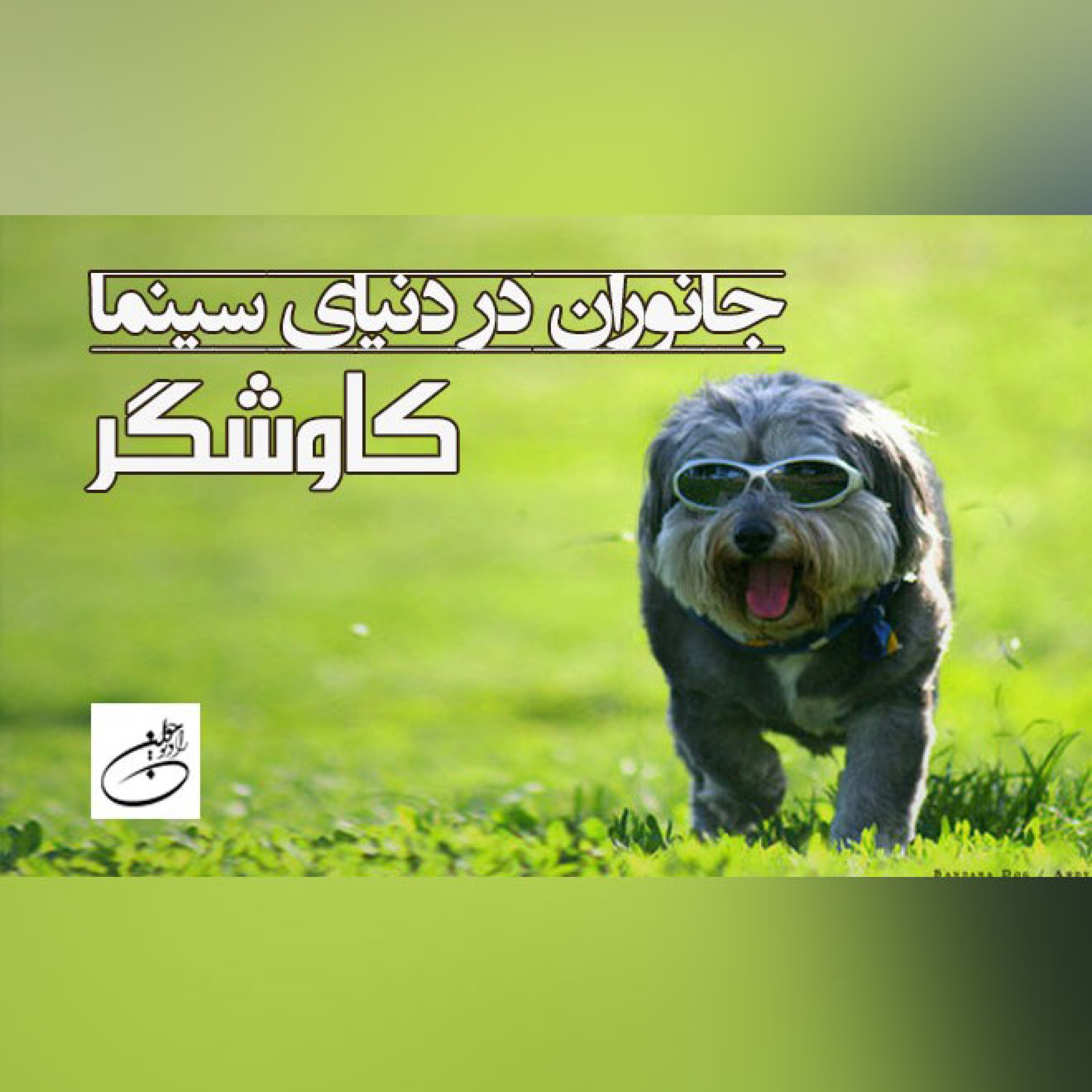 جانوران در دنیای سینما