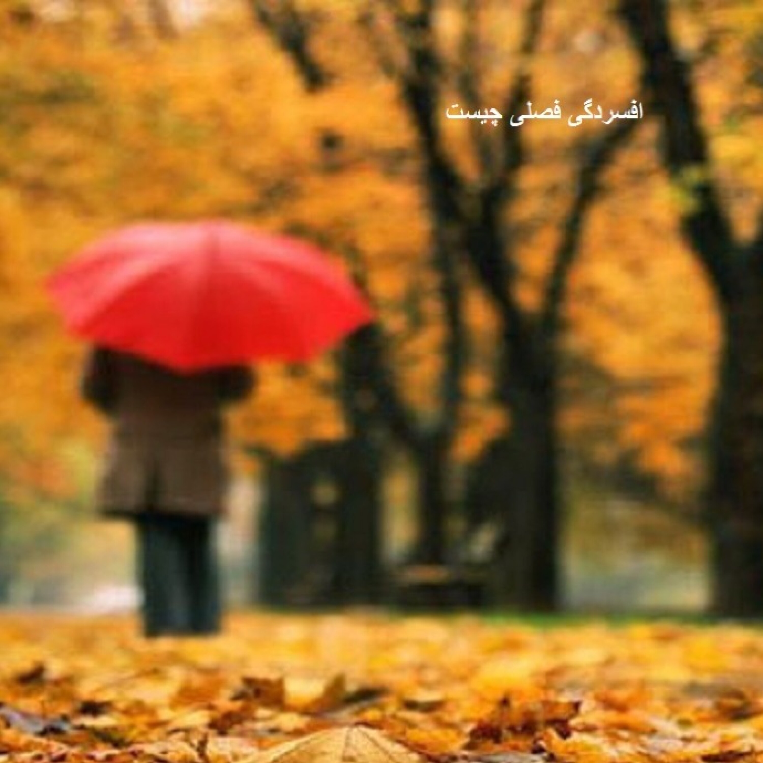 افسردگی فصلی چیست episode artwork