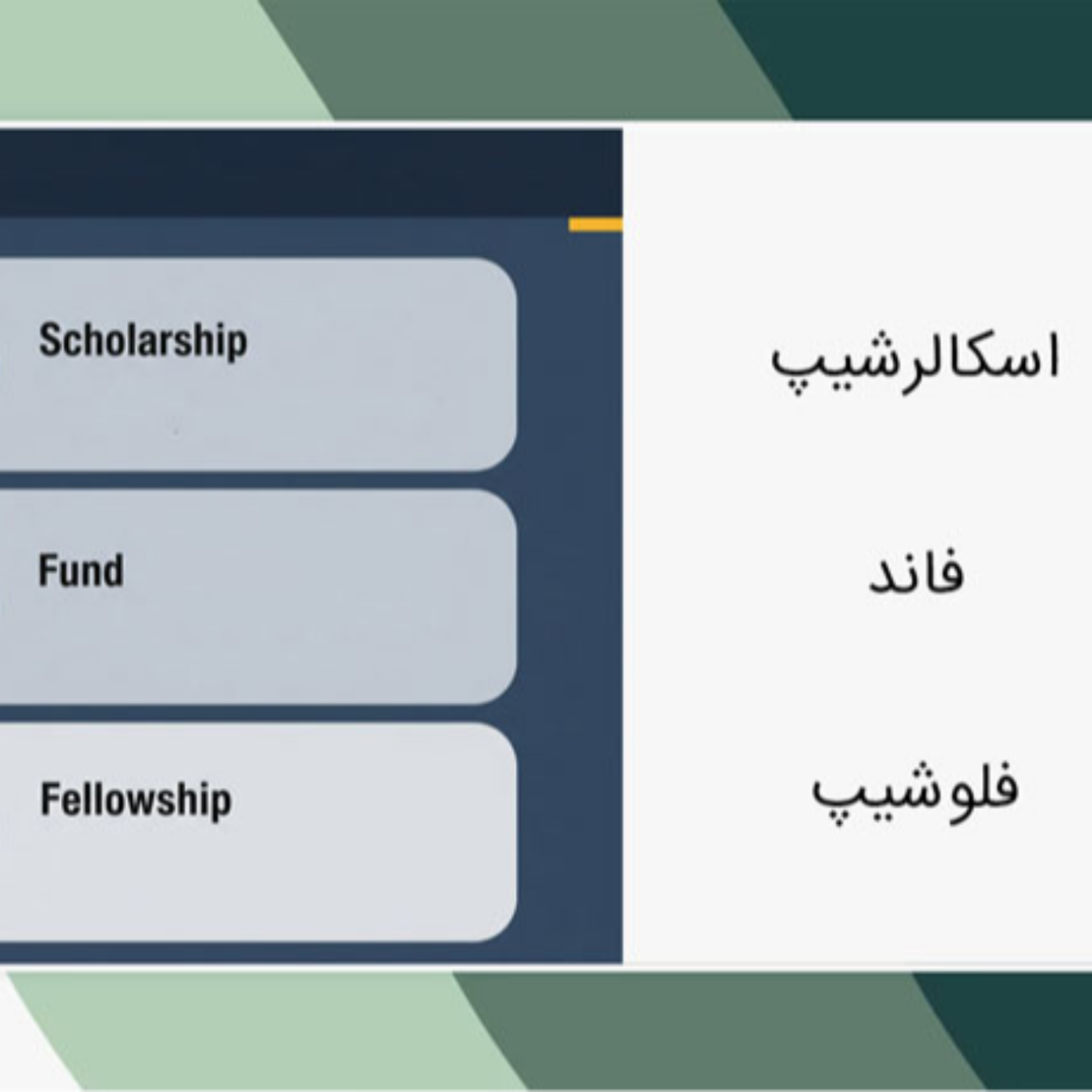 کاور اسکالرشیپ چیست؟ تفاوت اسکالرشیپ با فاند و فلوشیپ