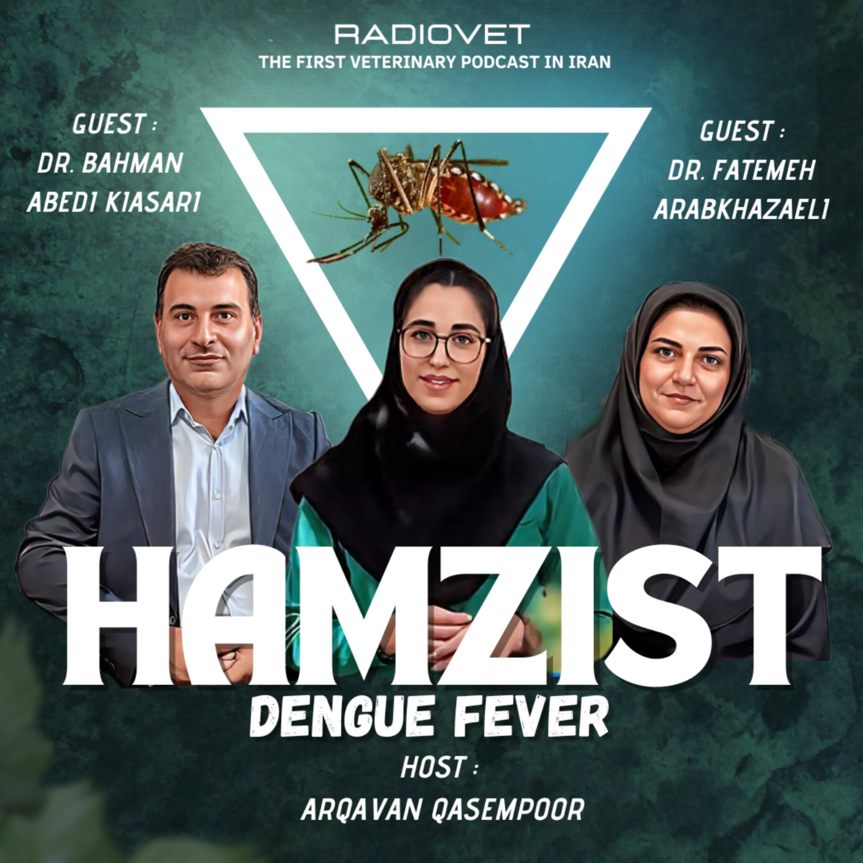 Hamzist - Dengue Fever