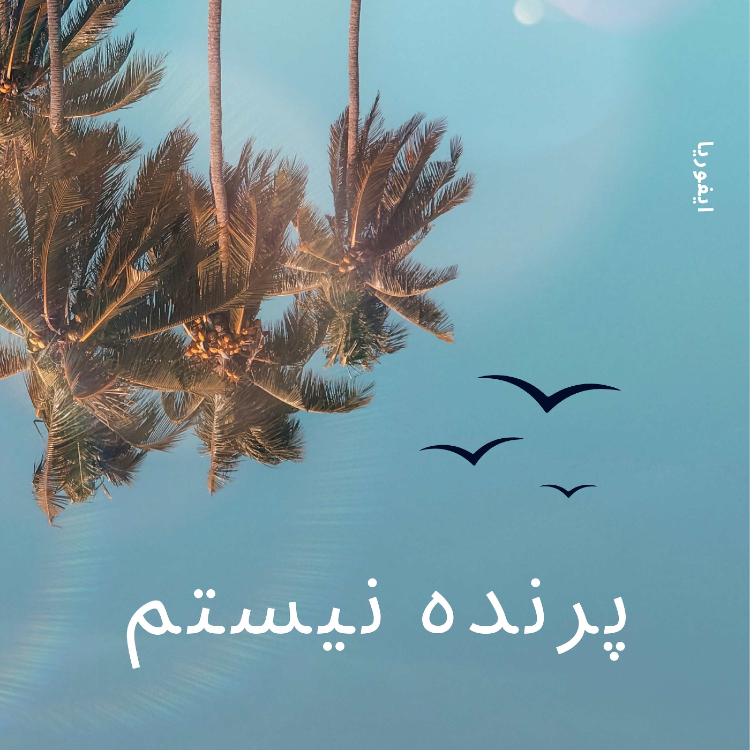 کاور پرنده نیستم اما