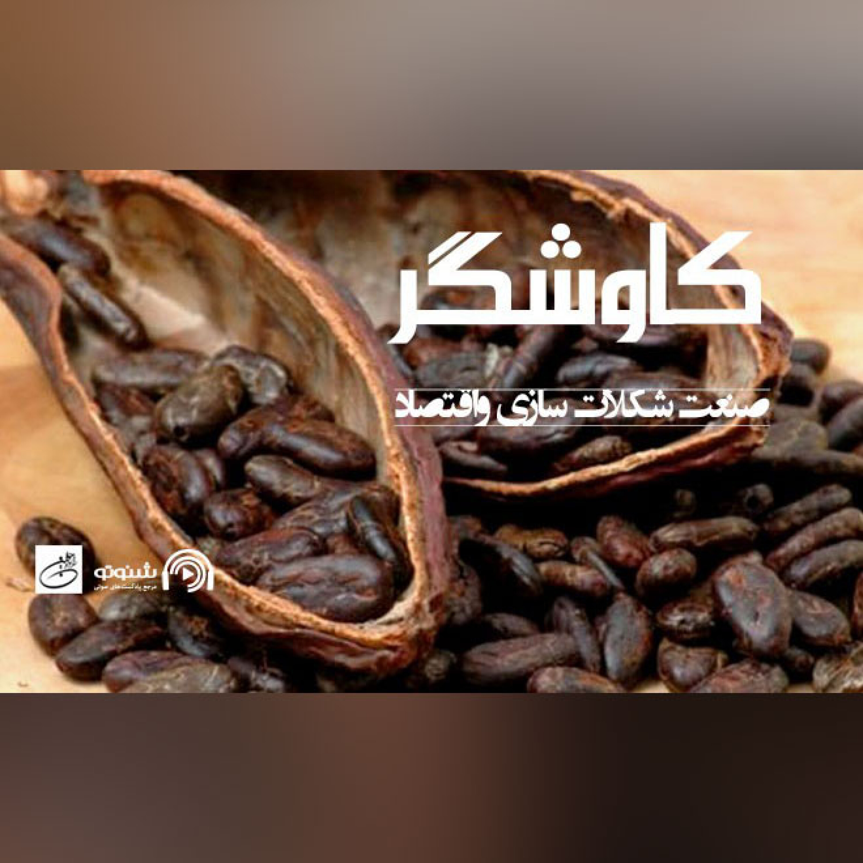 صنعت شکلات سازی و اقتصاد
