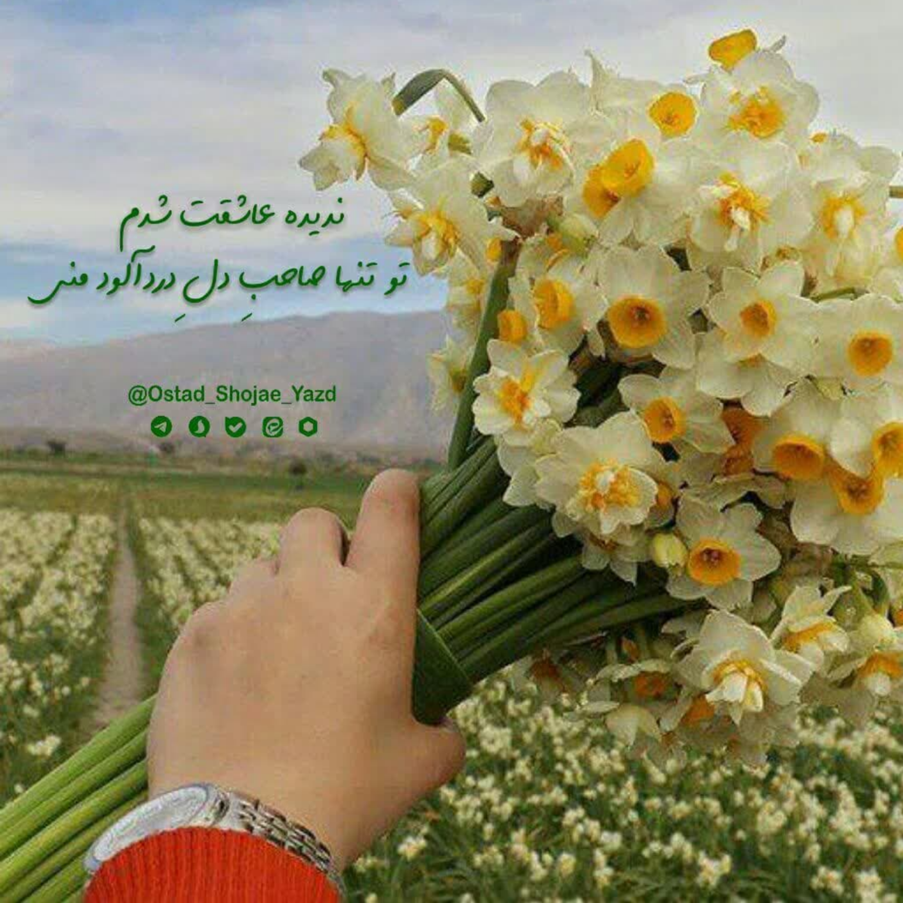 کاور امام زمان_5