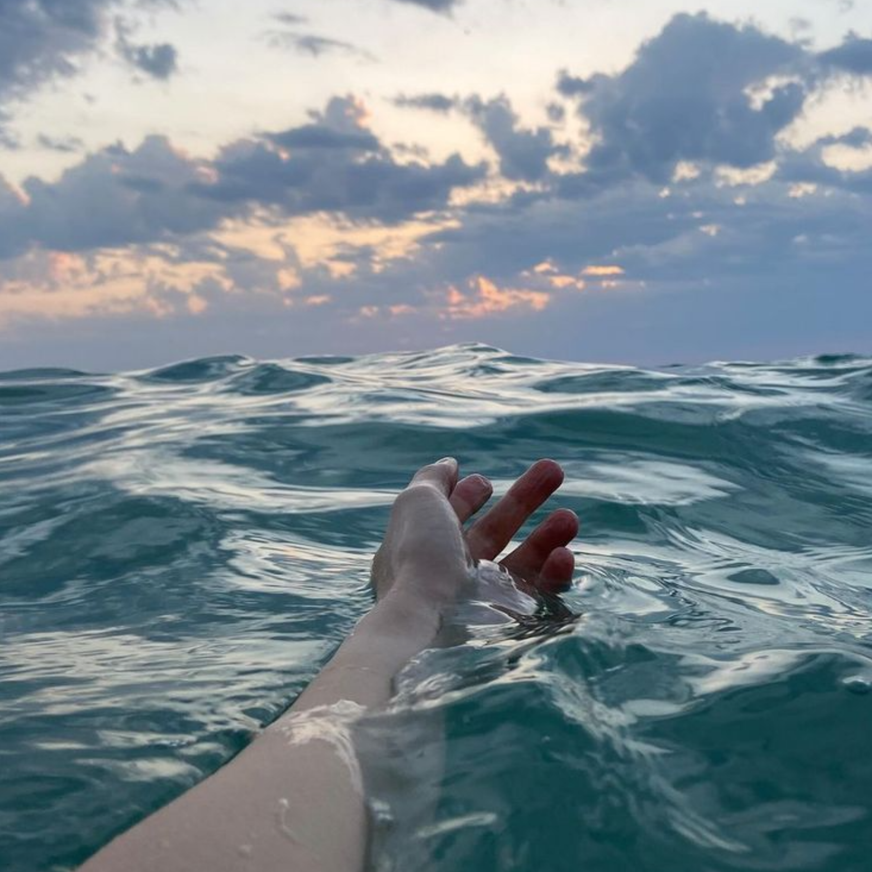 کاور شناور