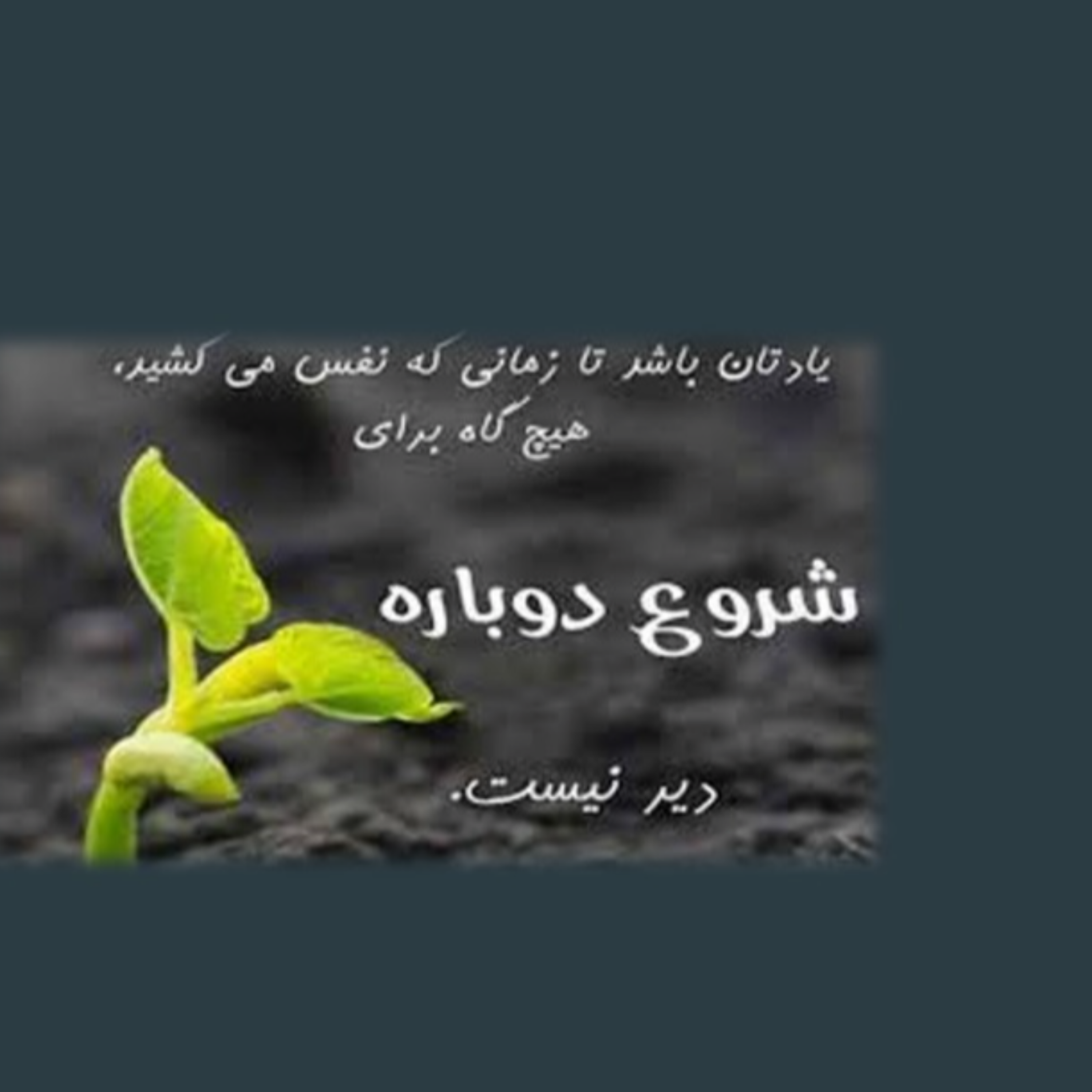 کاور episode1-نسخه ۸۰ ساله