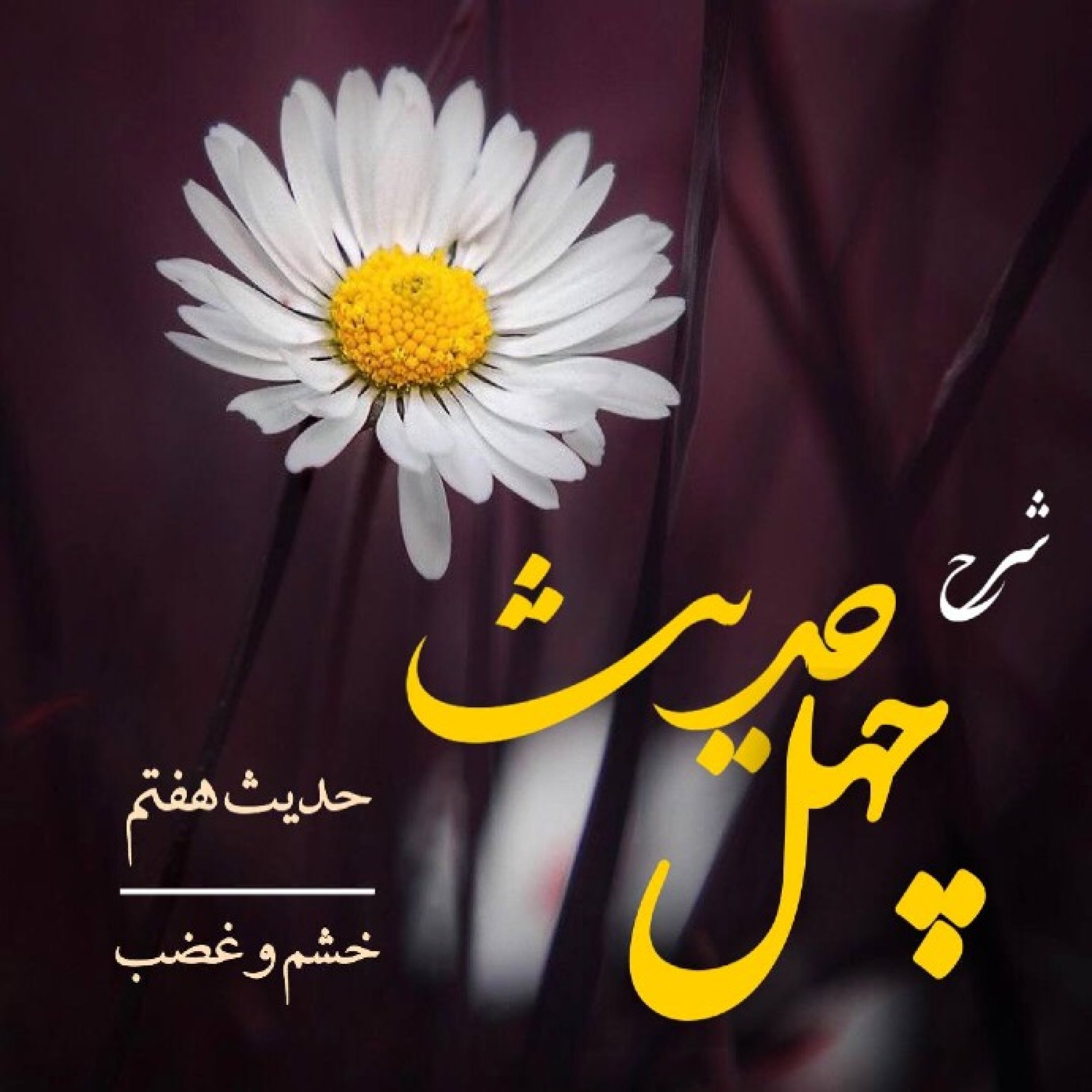 کاور کتاب چهل حدیث به زبان ساده (حدیث هفتم) - 43.2ـ خشم ( بخش دوم )