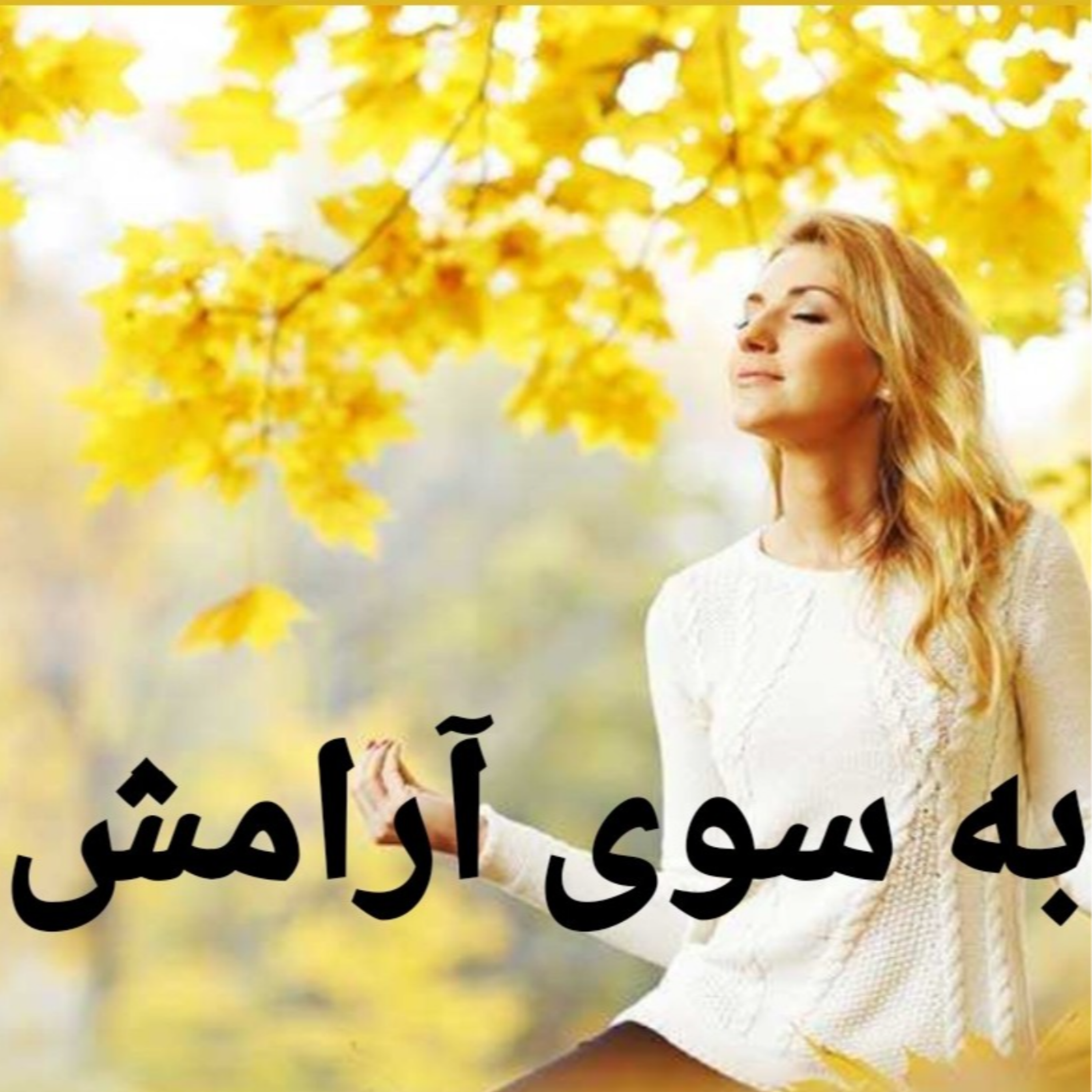 کاور اپیزود ۱ از مدیتیشن به سوی آرامش