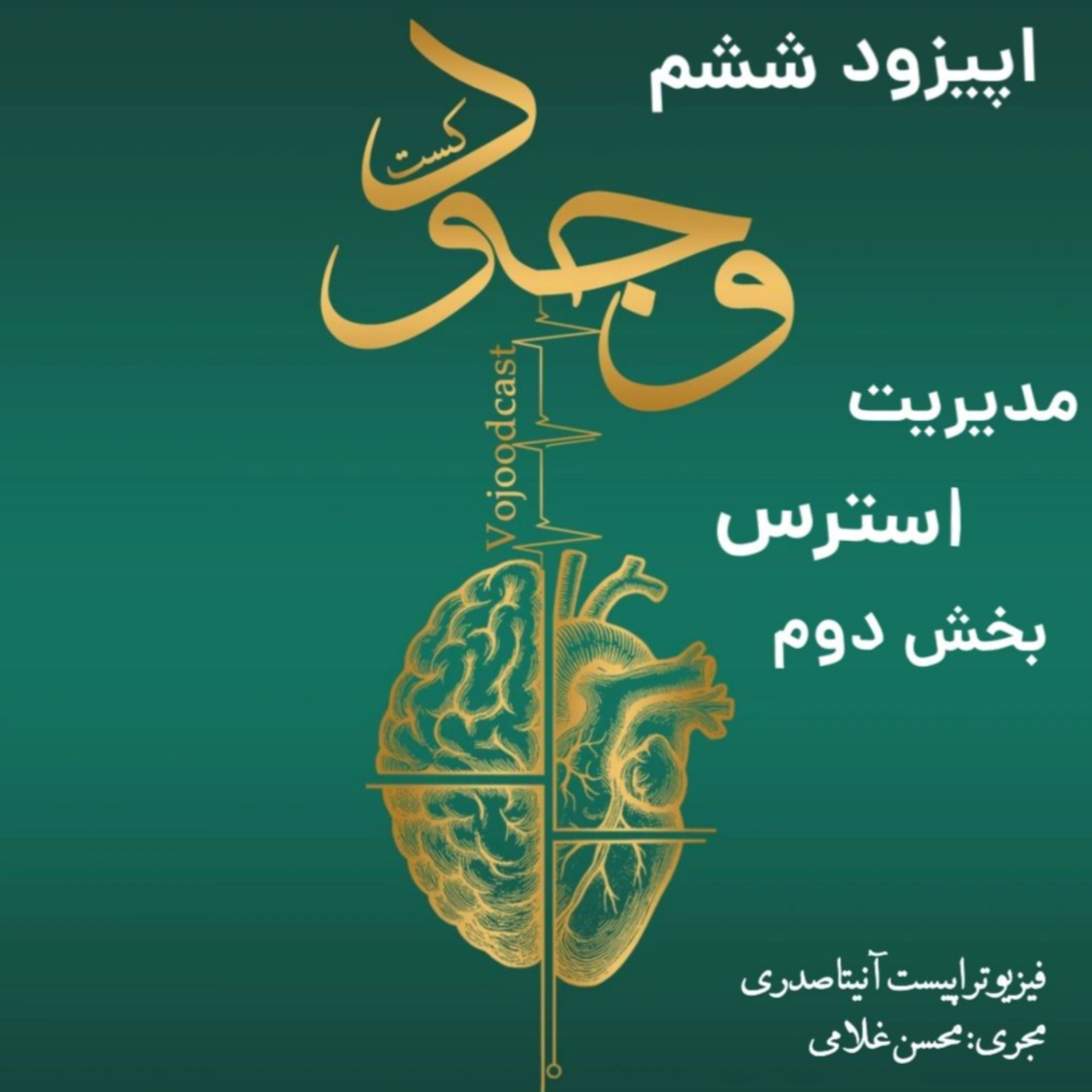 کاور اپیزود ششم :بخش دوم مدیریت استرس