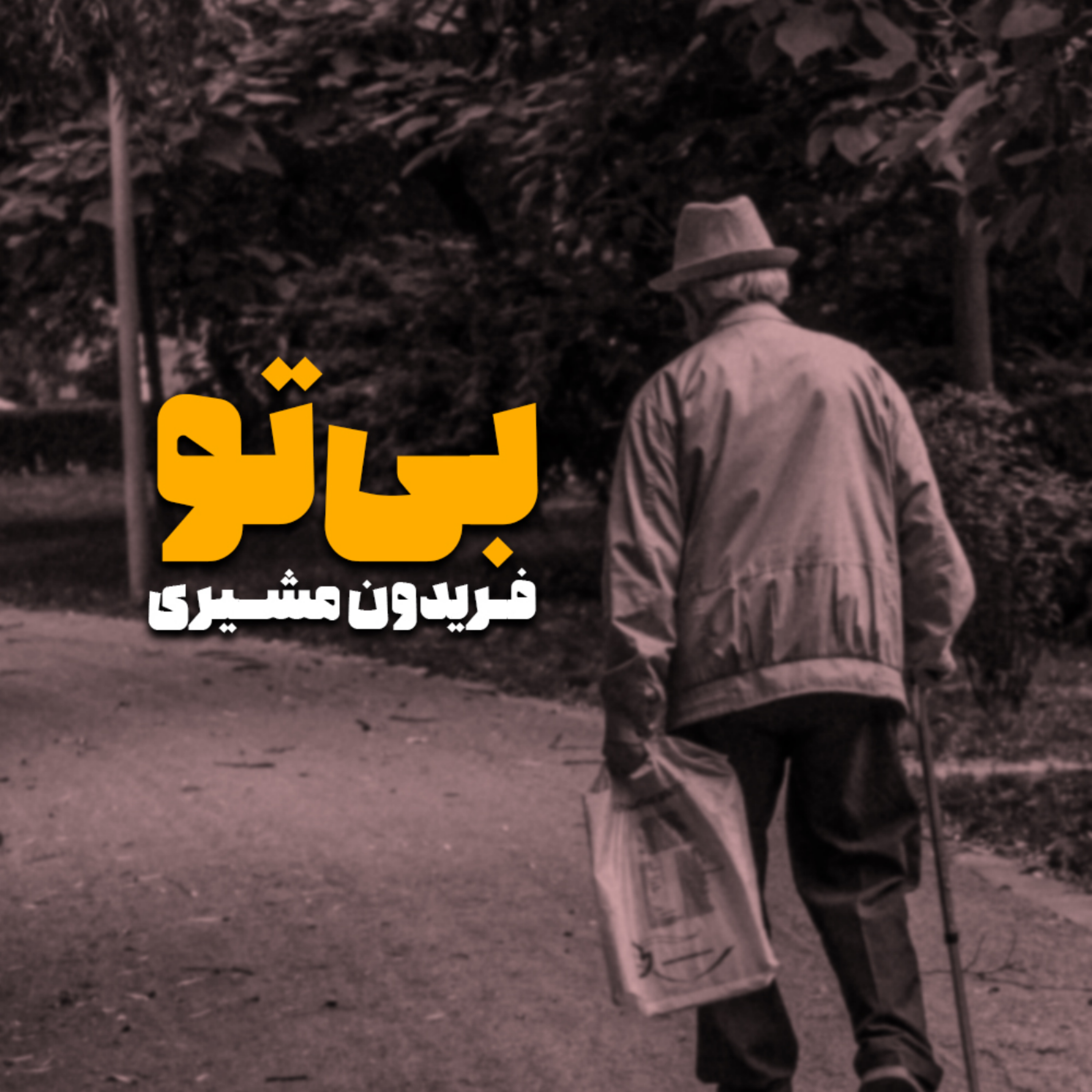 دکلمه بی تو مهتاب شبی ... episode artwork