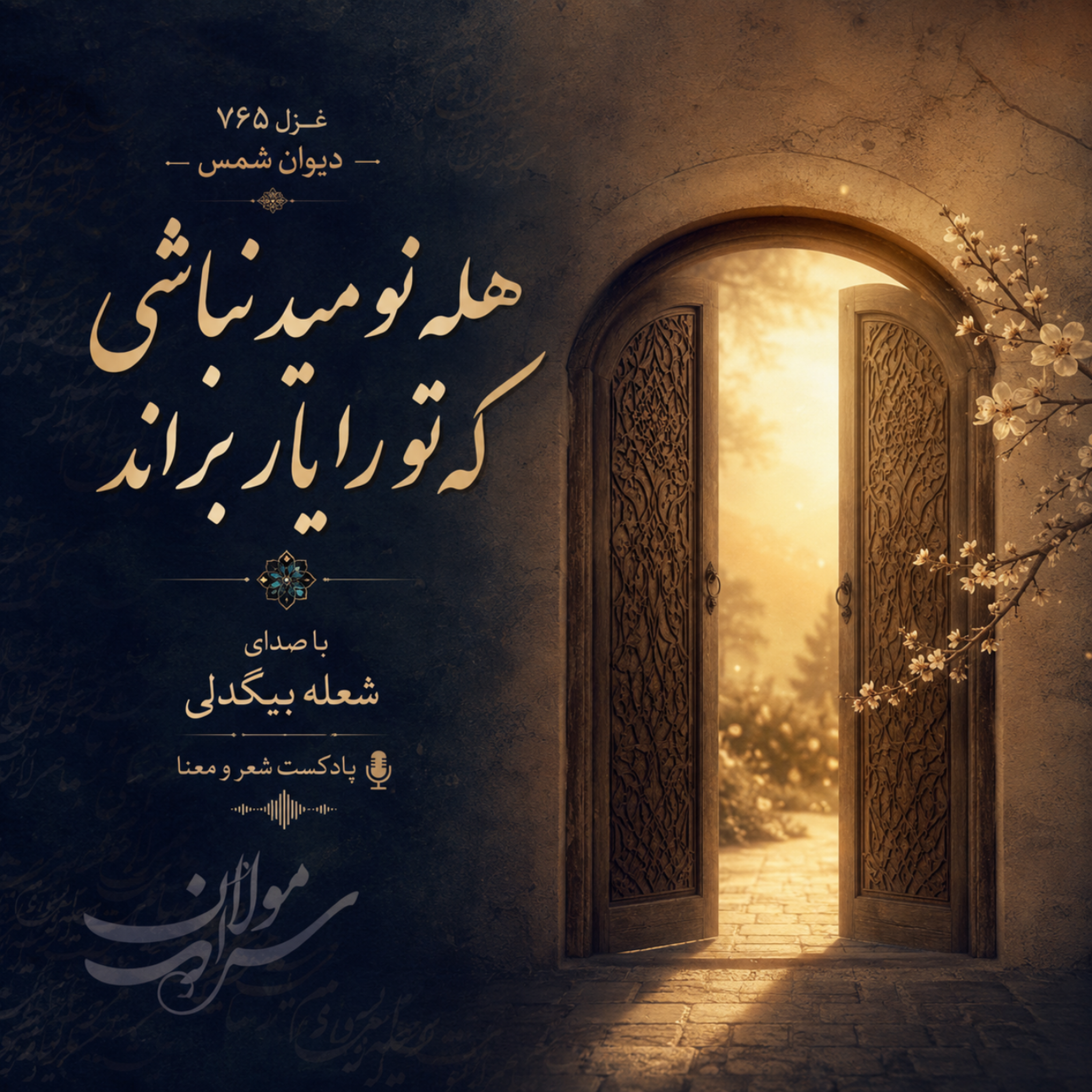 کاور غزل شماره 765 دیوان شمس