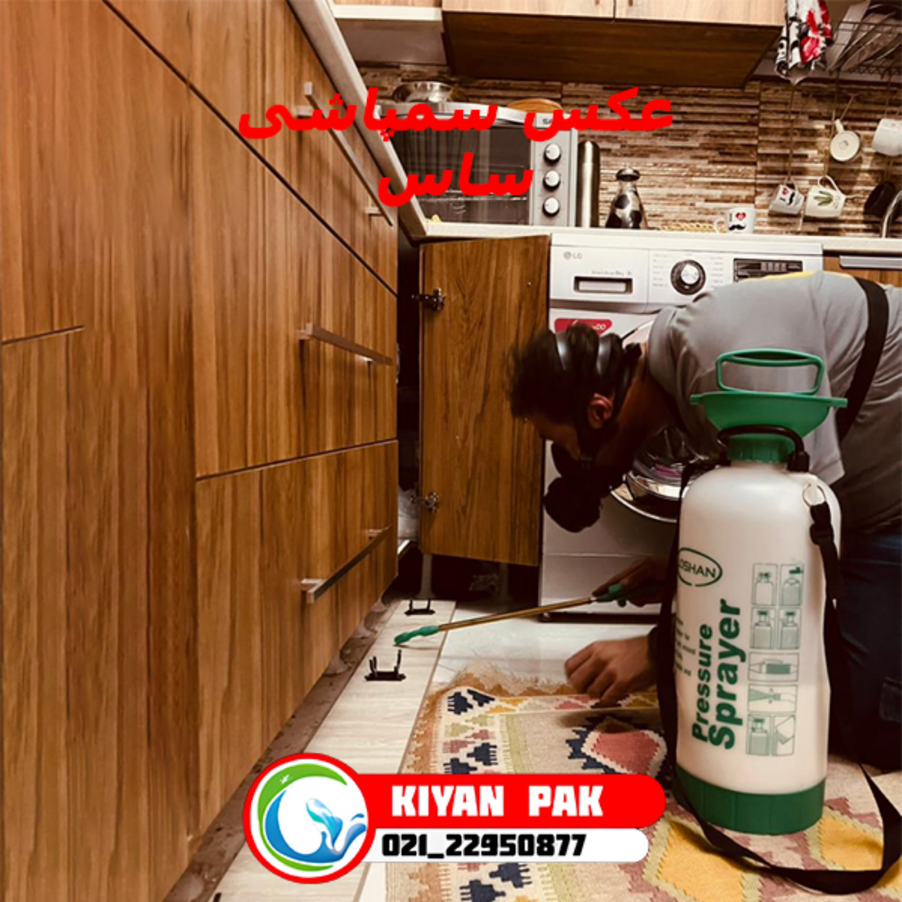 کاور قبل و بعد از سمپاشی ساس چه کارهایی باید انجام دهیم؟