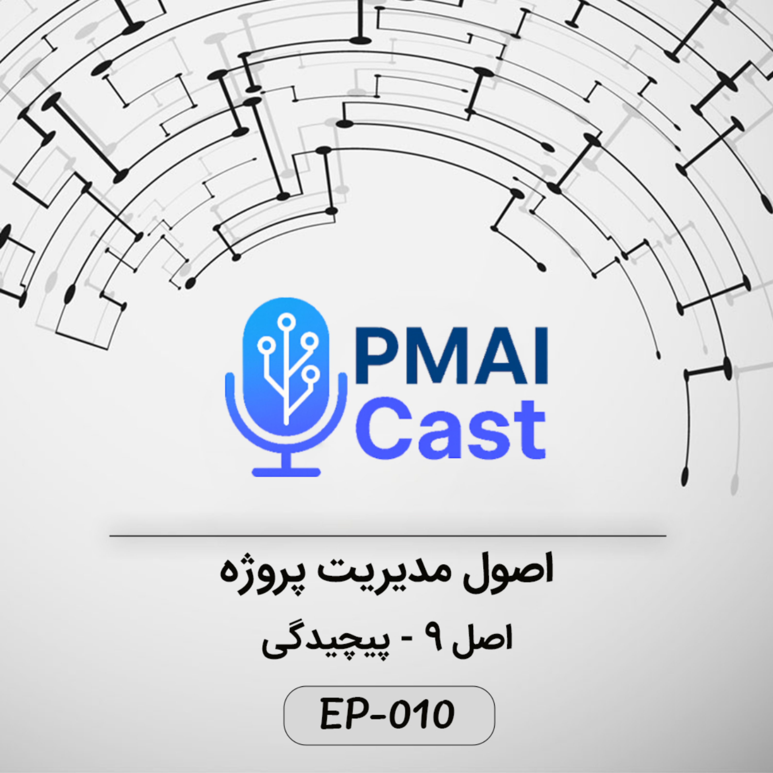 کاور ٍEP-010- اصول مدیریت پروژه - پیچیدگی