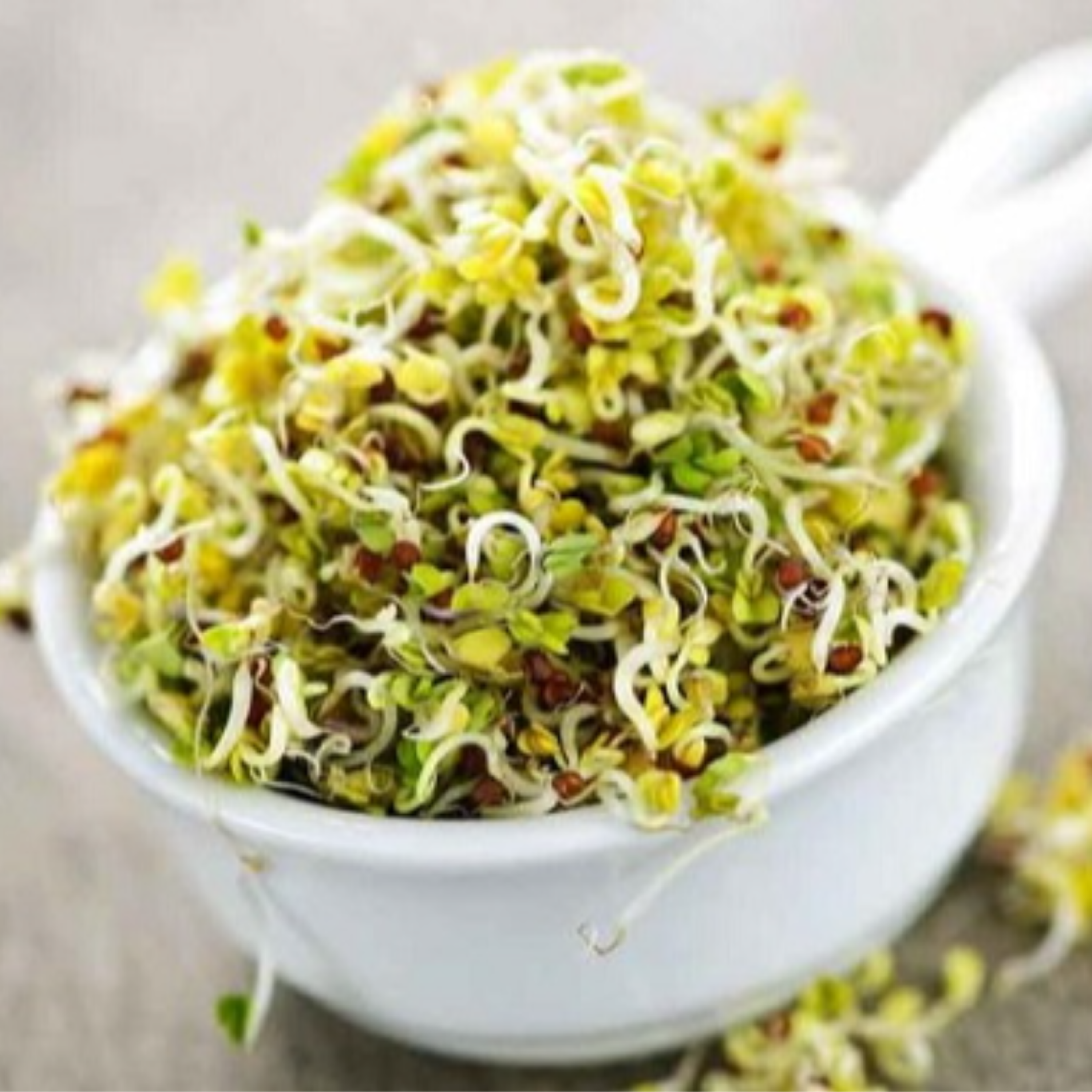 کاور اصل قصه تغذیه طبیعی ۷۷