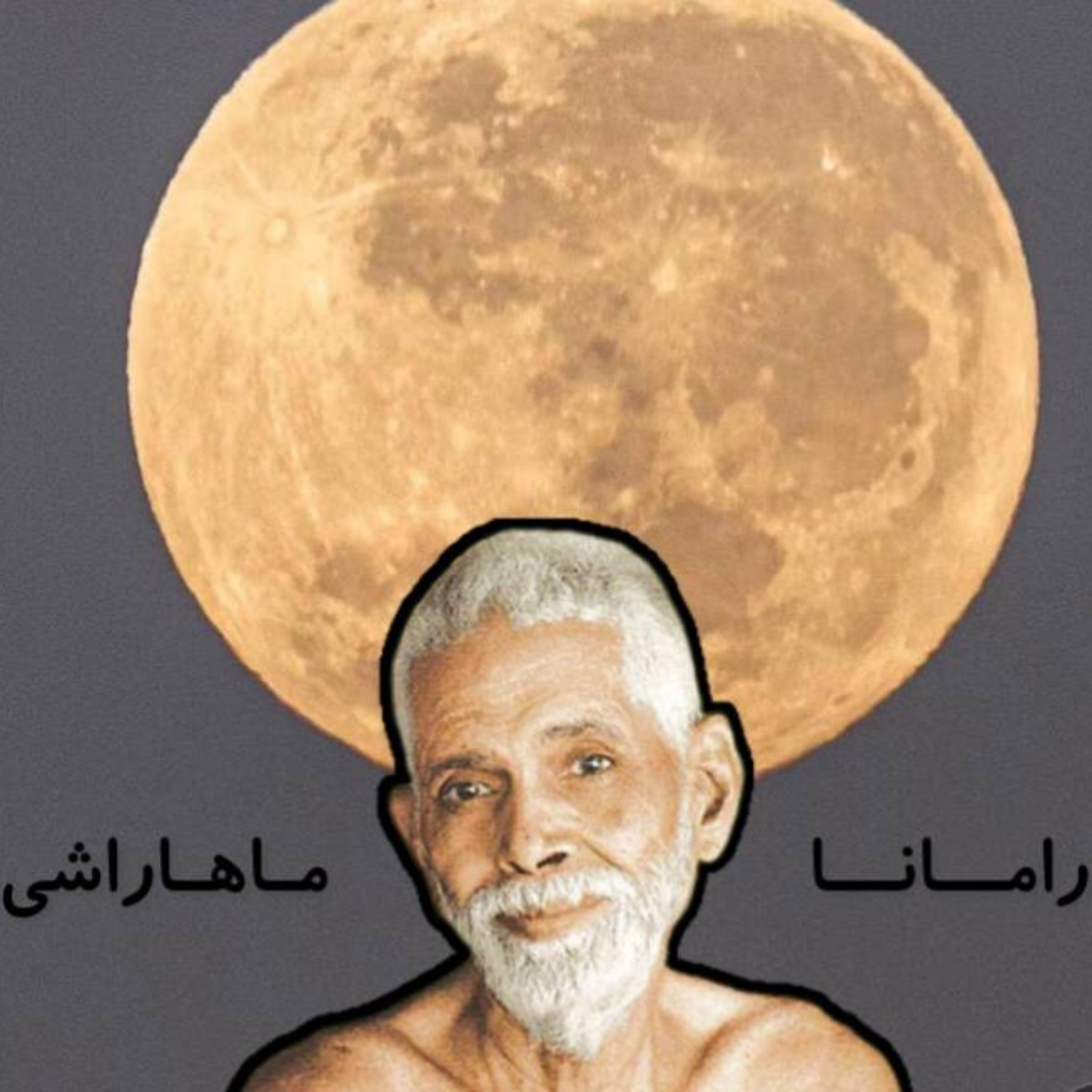 کاور بیداری عجیب/ فصل ششم اپیزود پنجاهودوم