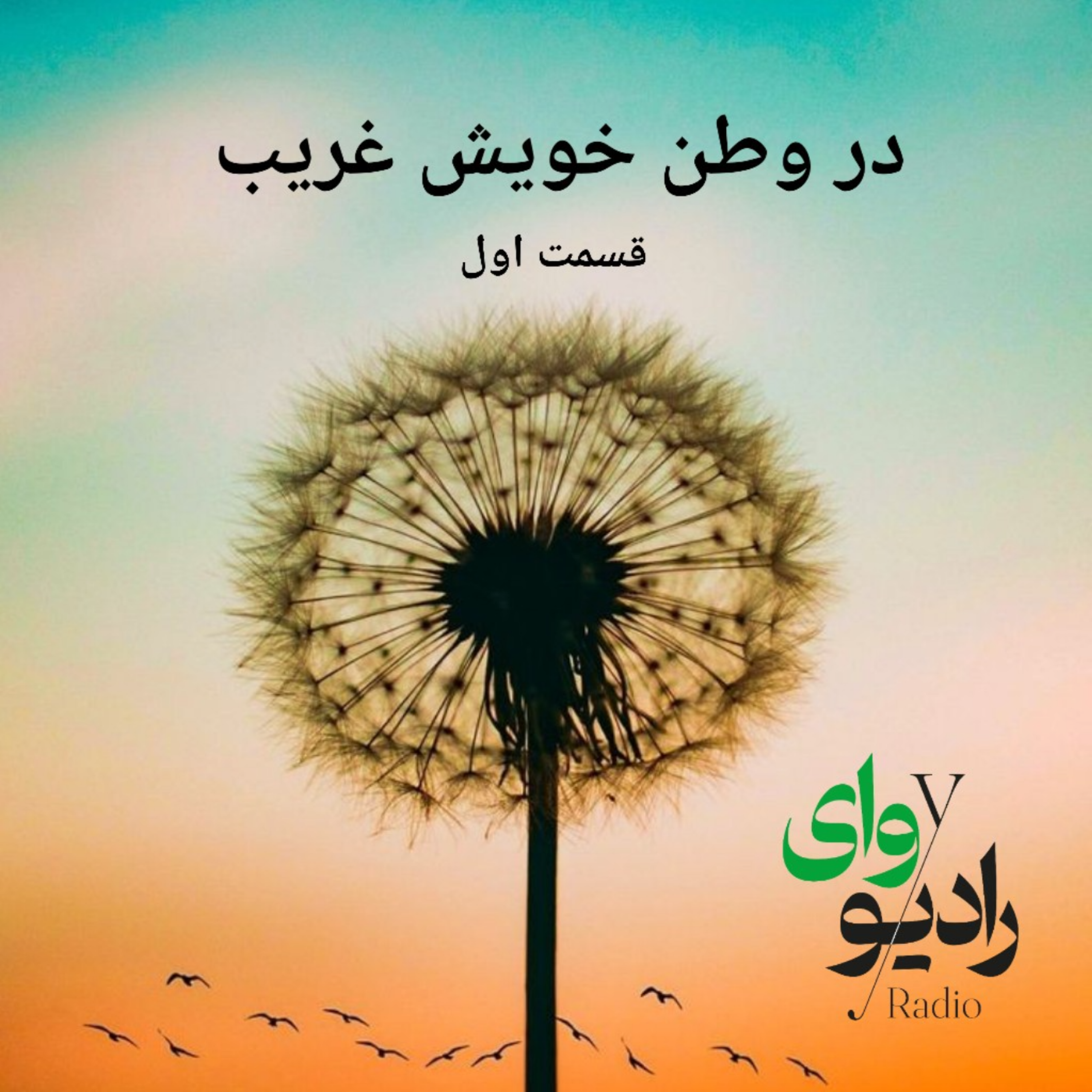 کاور رادیو وای - در وطن خویش غریب (قسمت اول)