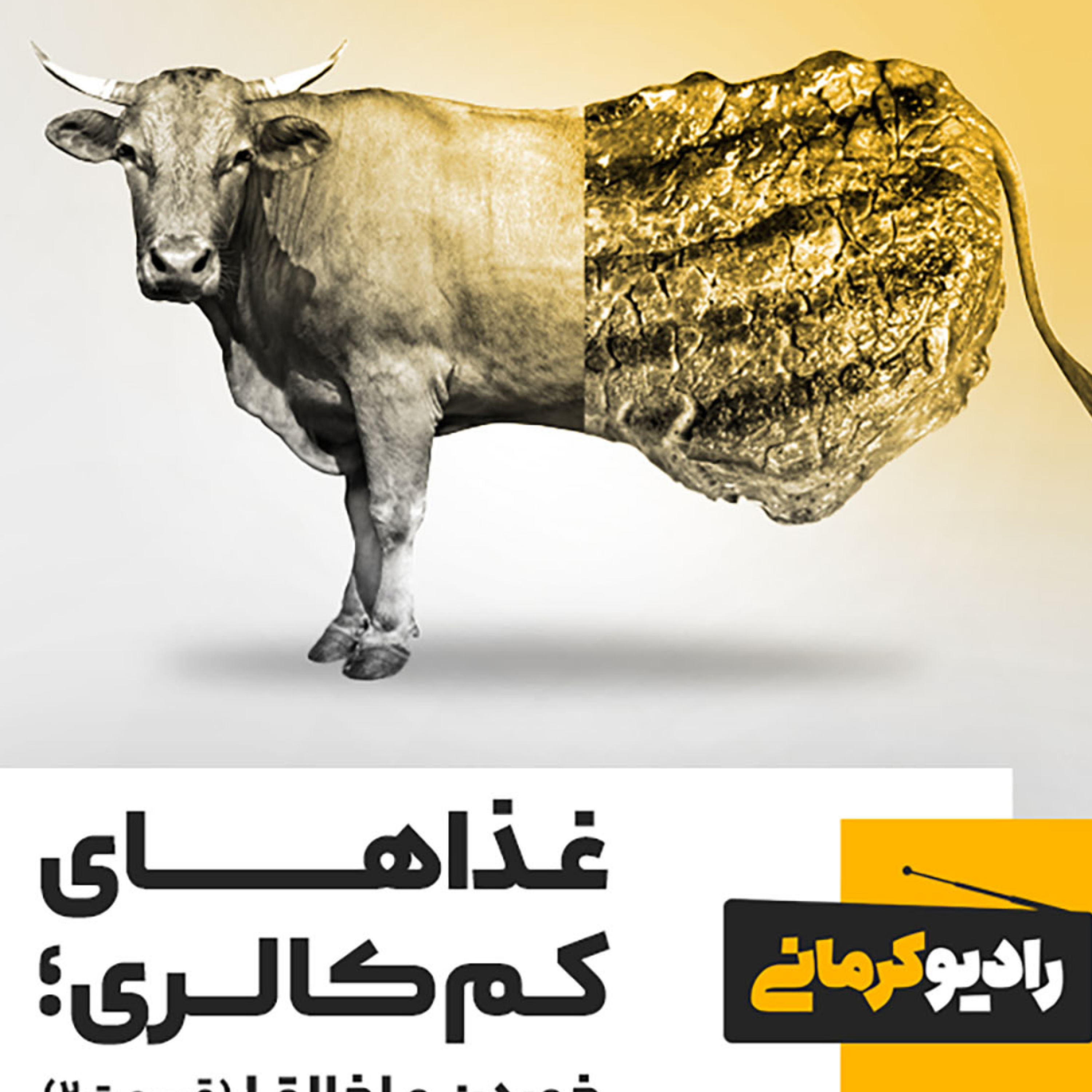 کاور غذاهای کمکالری؛ خوردن و اخلاق! قسمت دوم