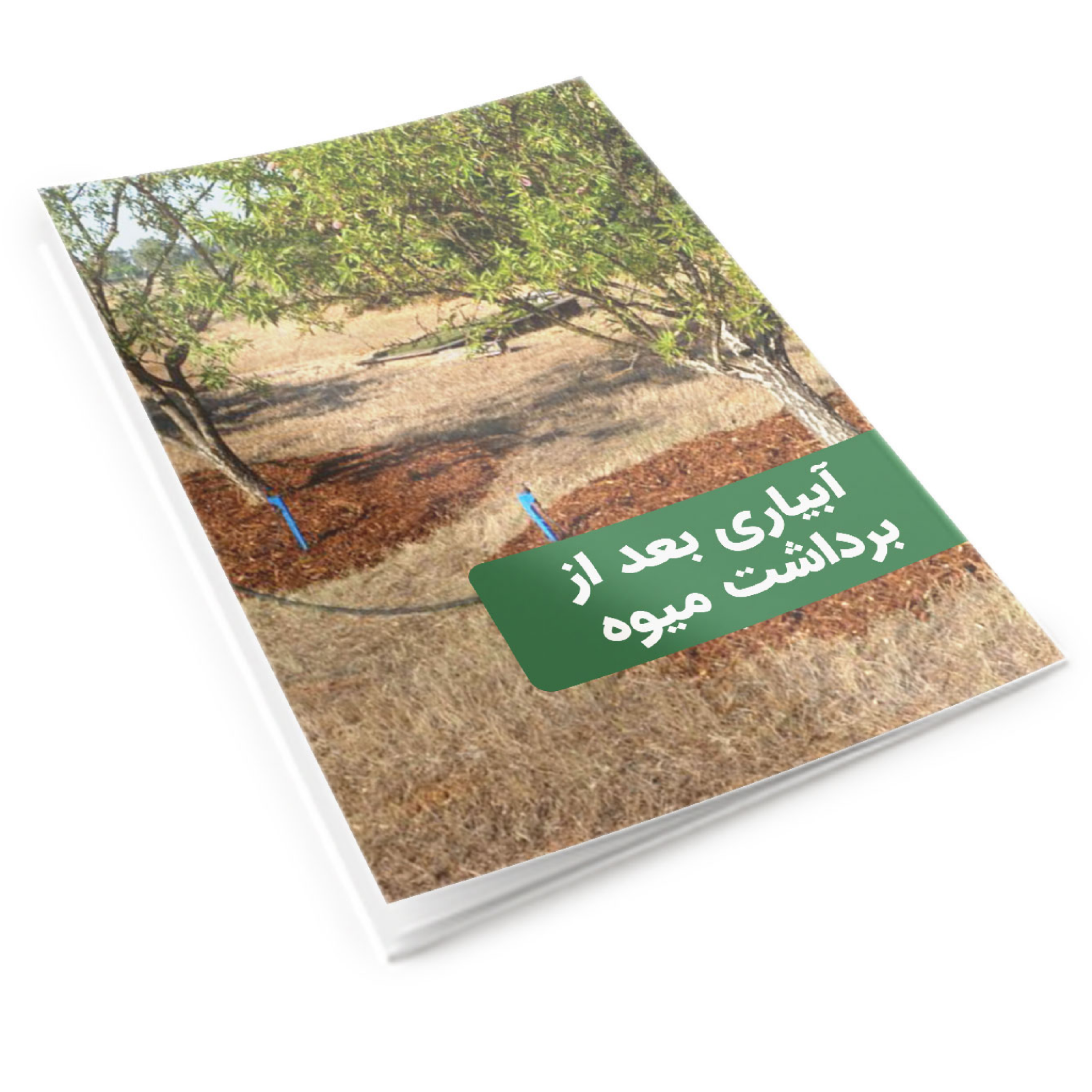 کاور آبیاری بعد از برداشت