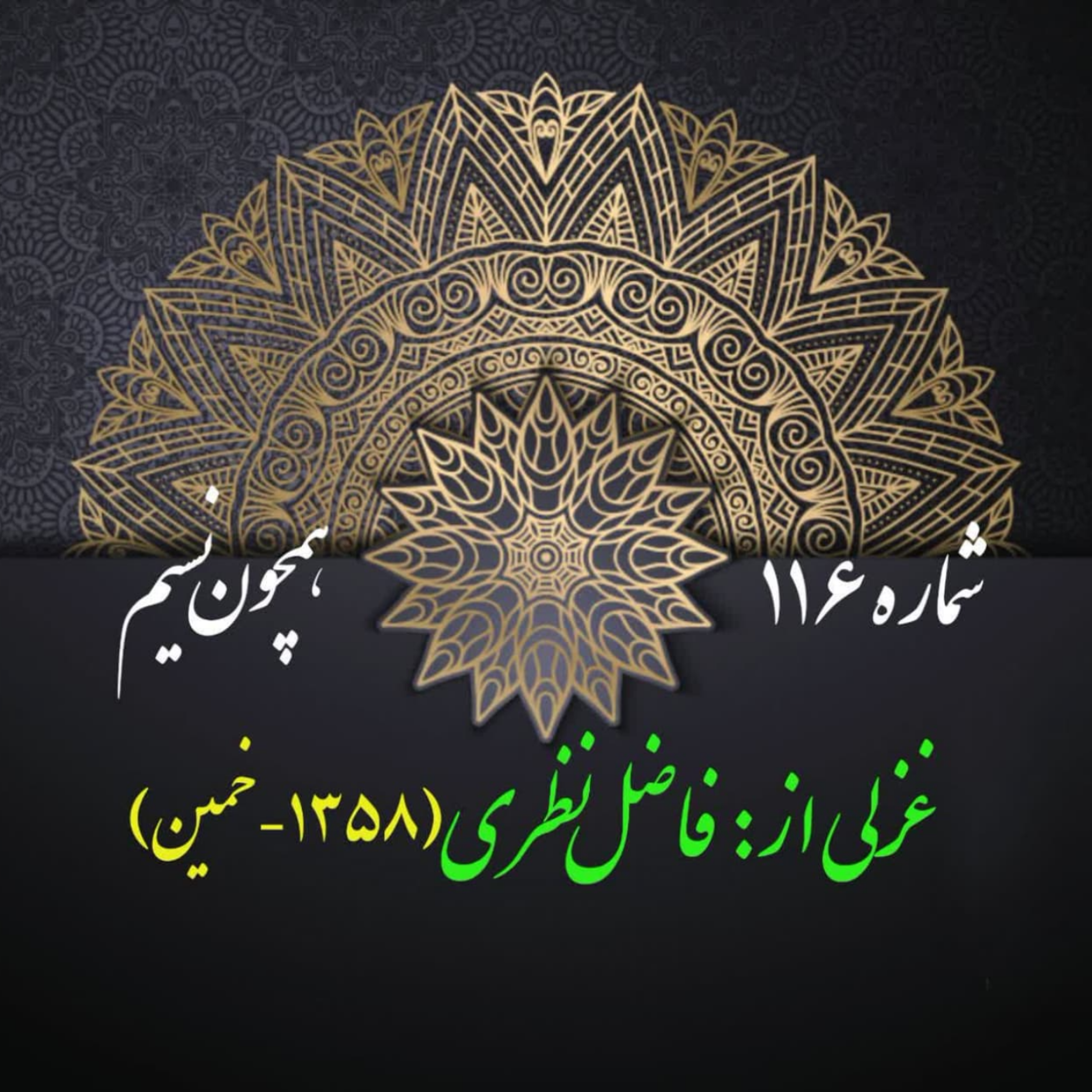 کاور شمارۀ 116 - غزلی از فاضل نظری