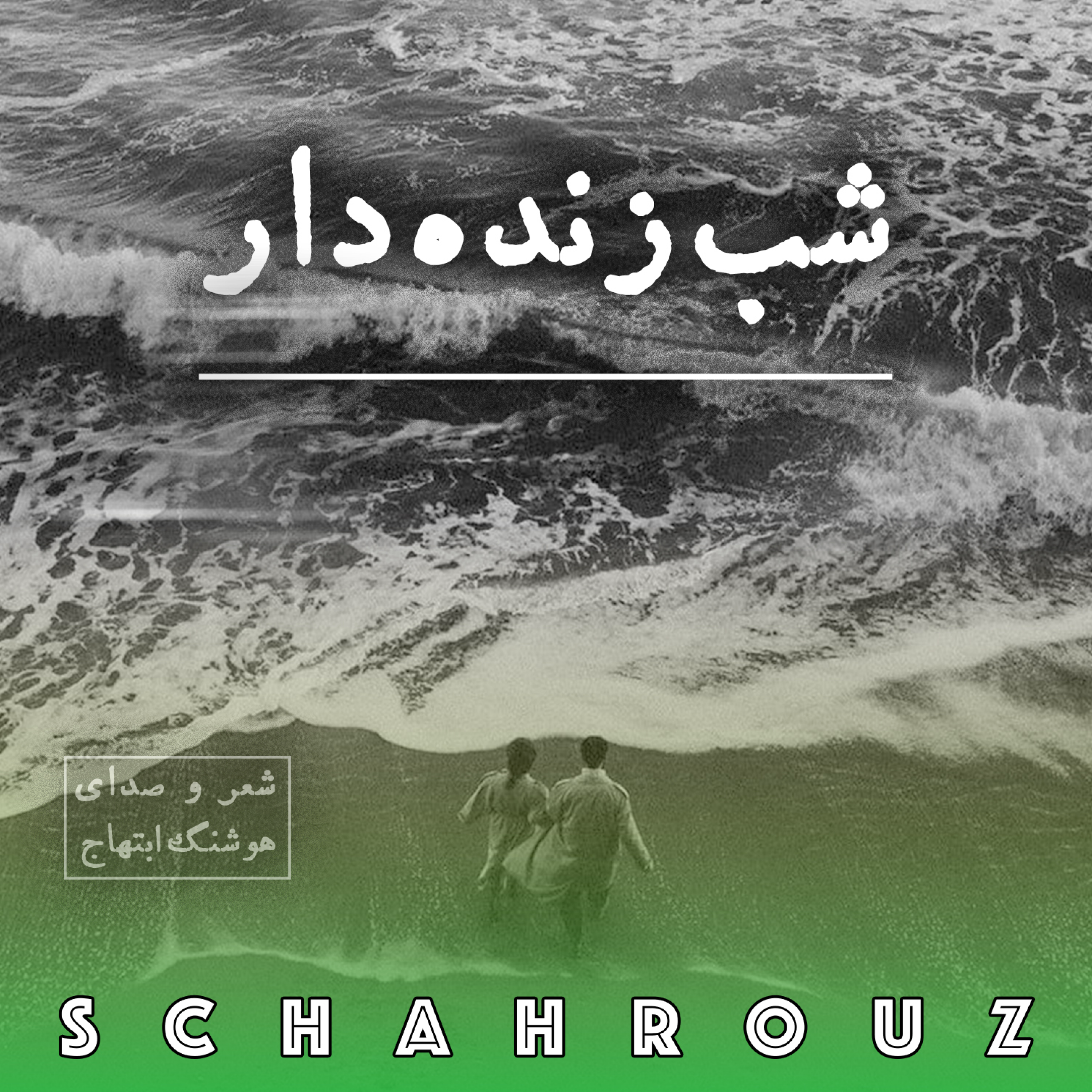 کاور هوشنگ ابتهاج | شب زنده دار
