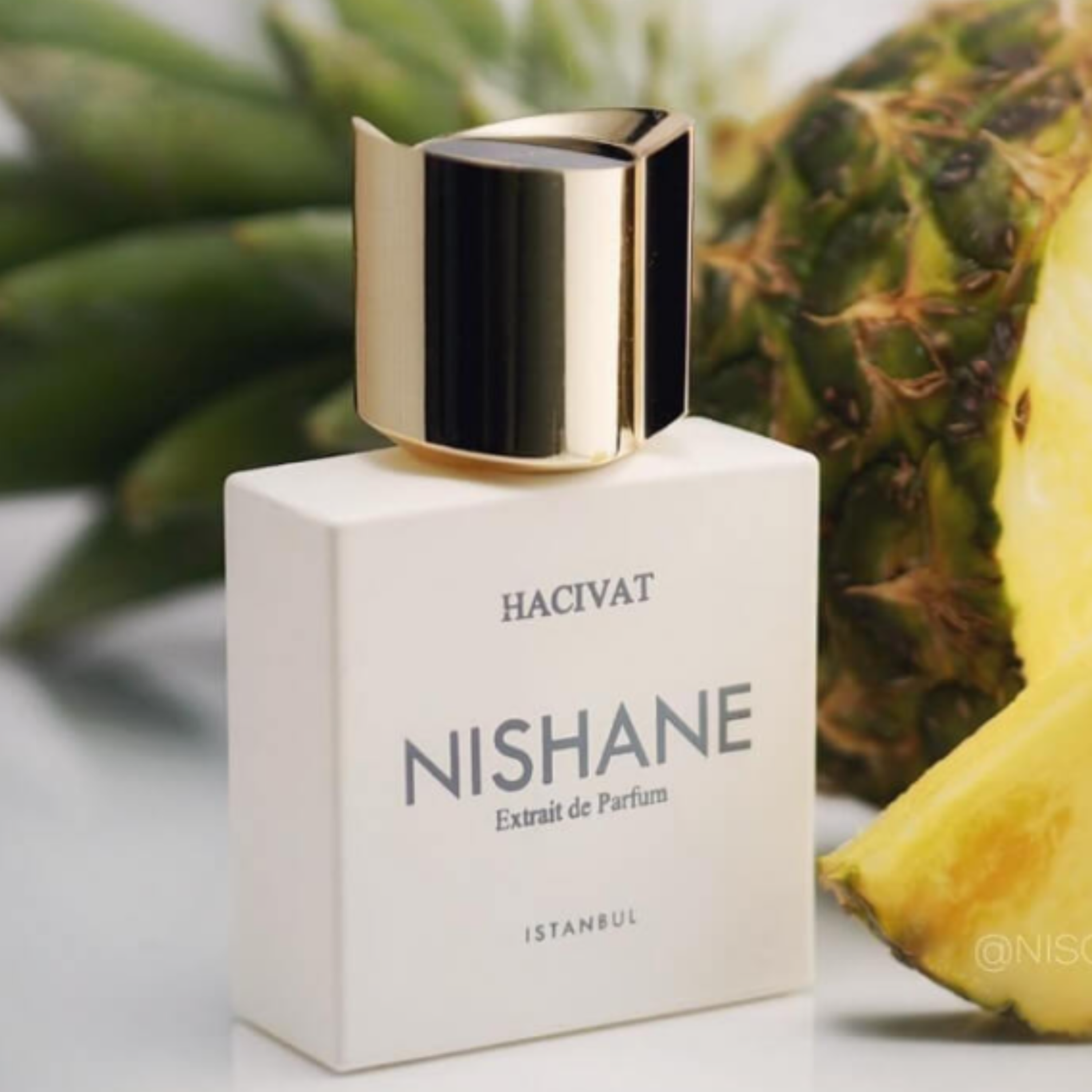 کاور معرفی عطر نیشانه حاجیوات