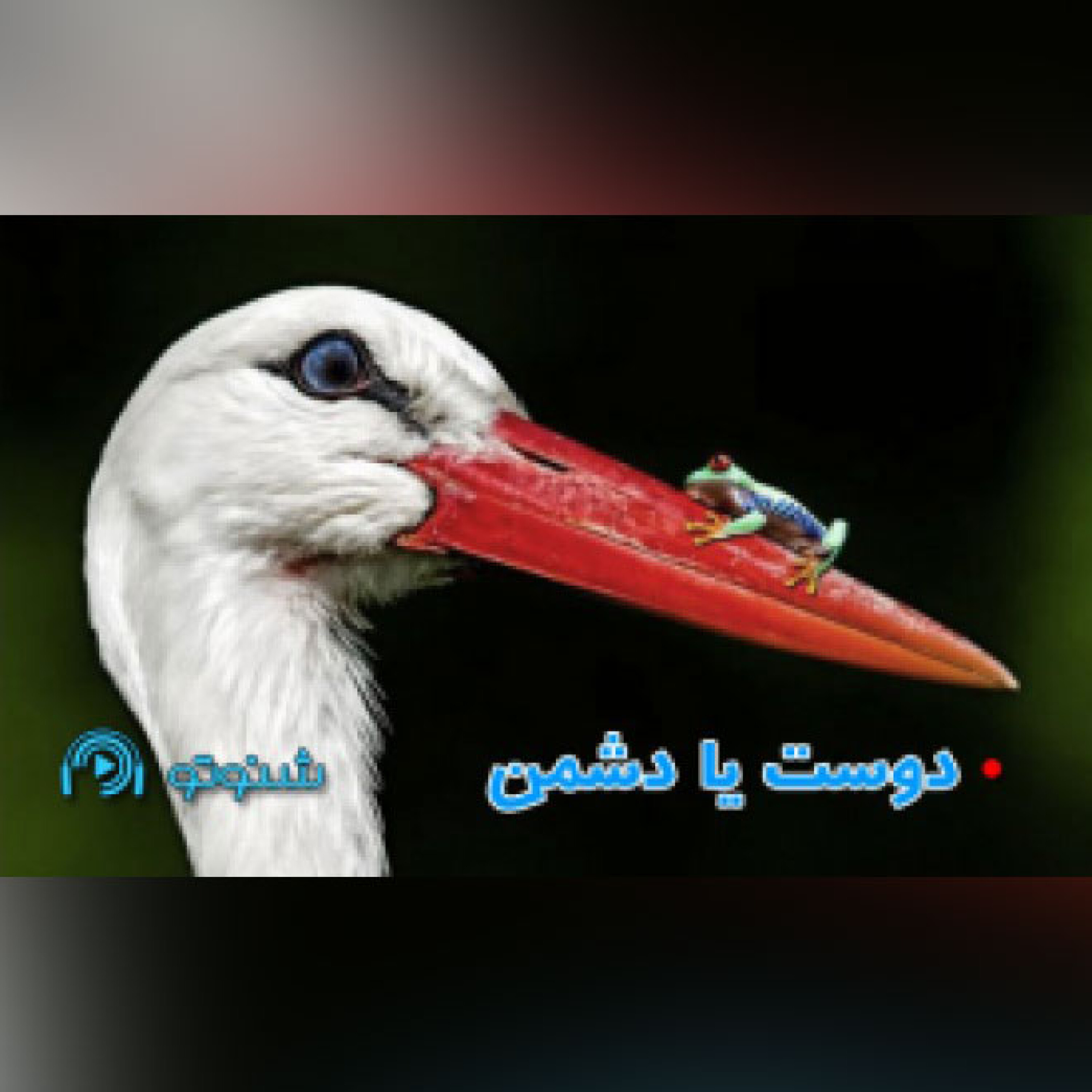 کاور دوست یا دشمن