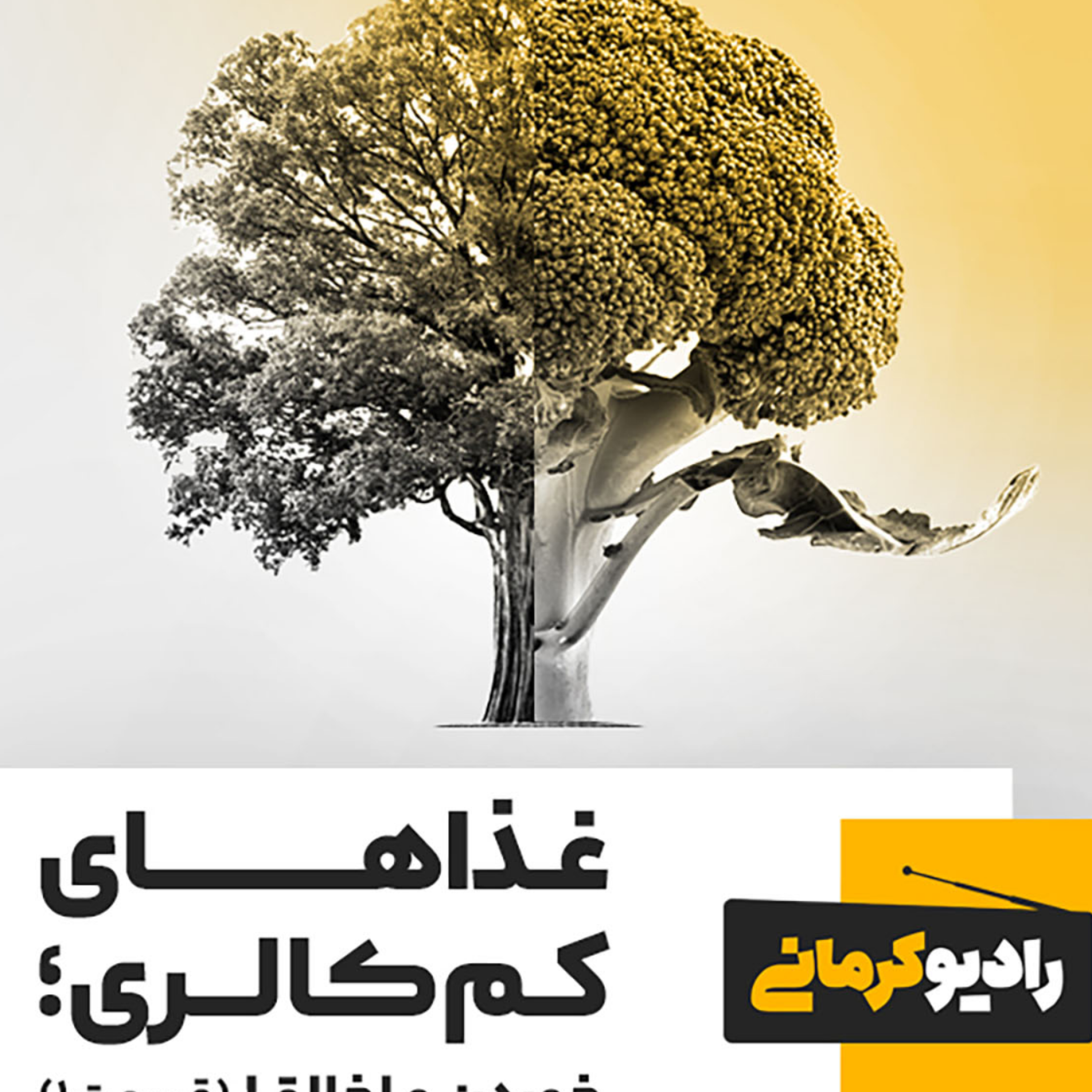 کاور غذاهای کمکالری؛ خوردن و اخلاق! قسمت اول