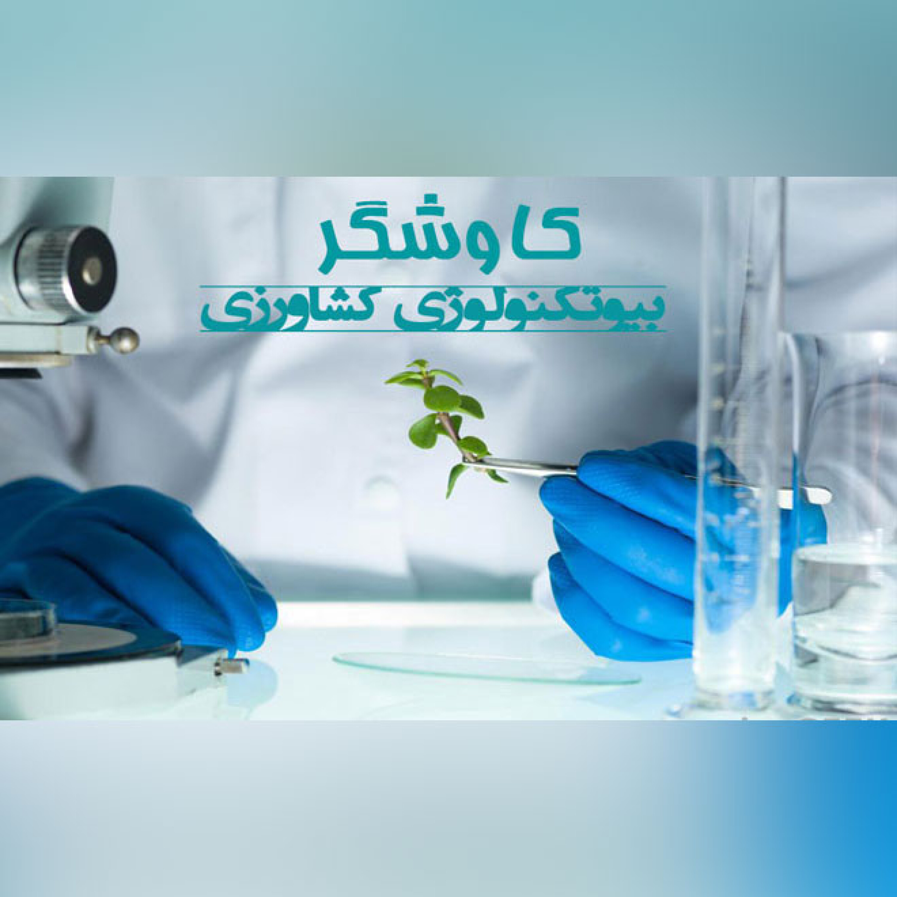 بیوتکنولوژی کشاورزی