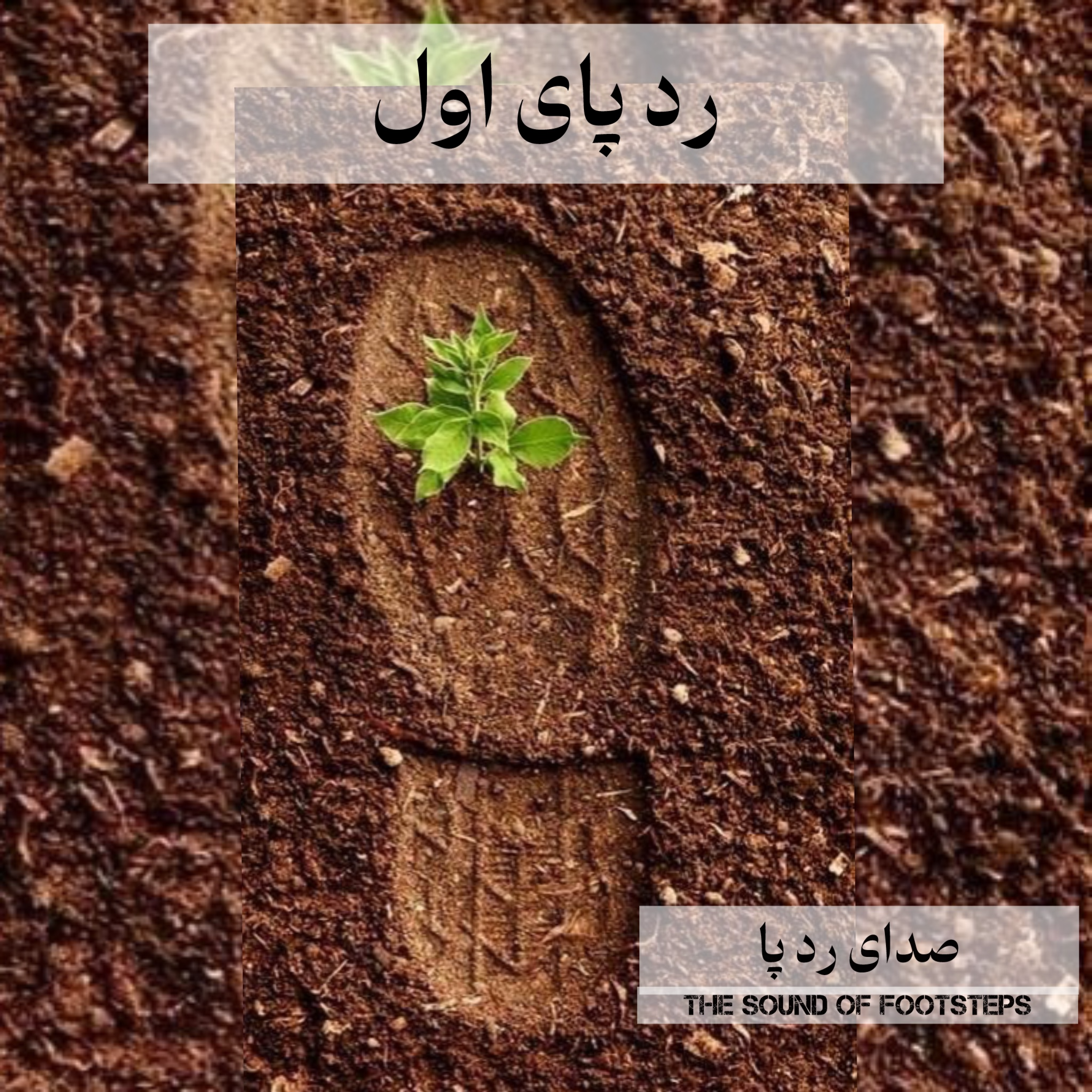 کاور ردپای اول