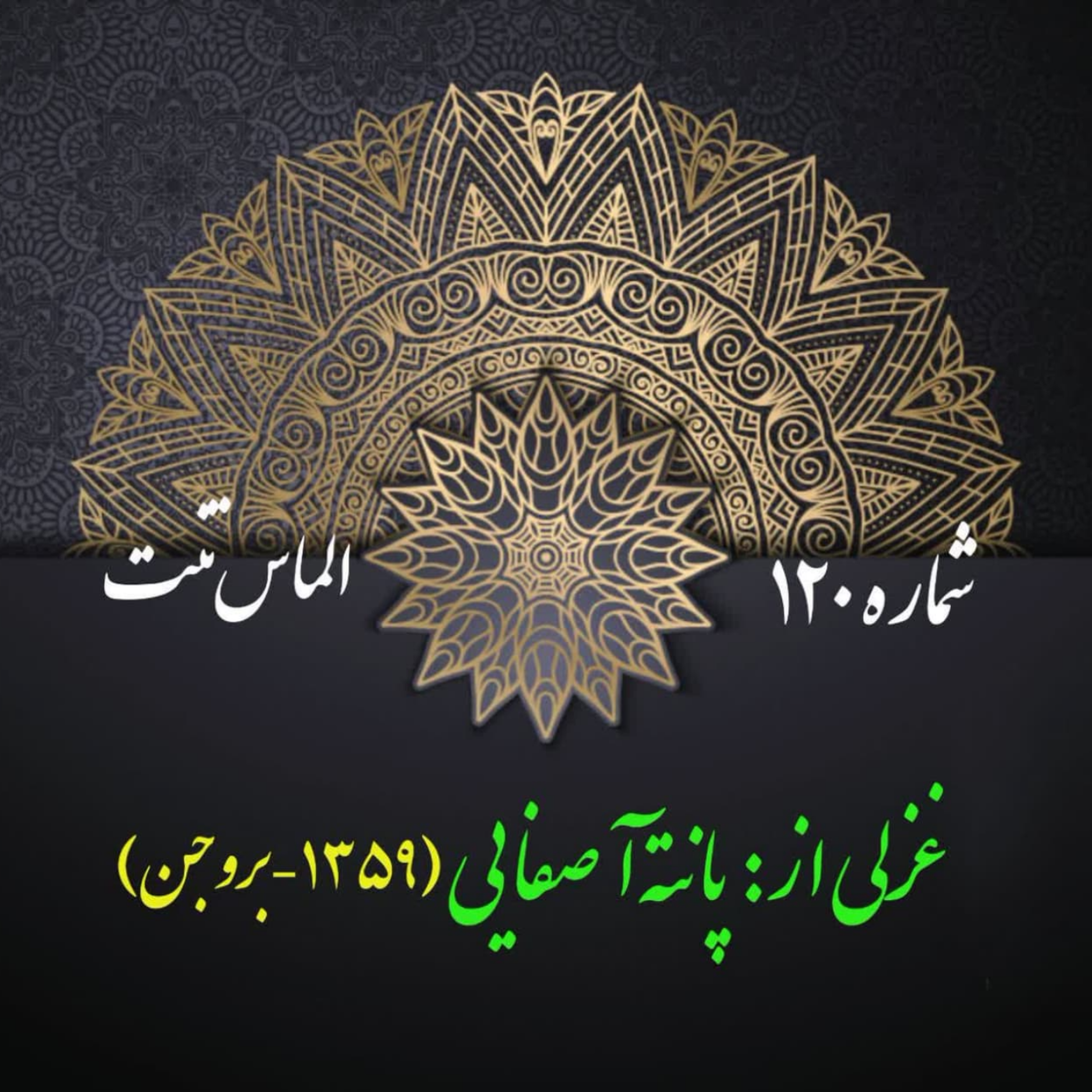 کاور شمارۀ 120 - غزلی از پانته‌آ صفایی