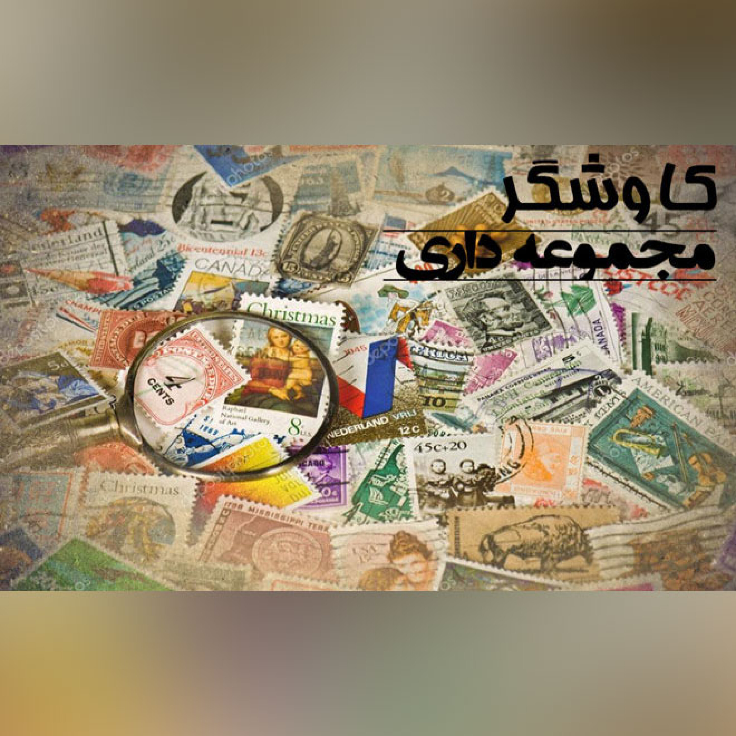 مجموعه داری