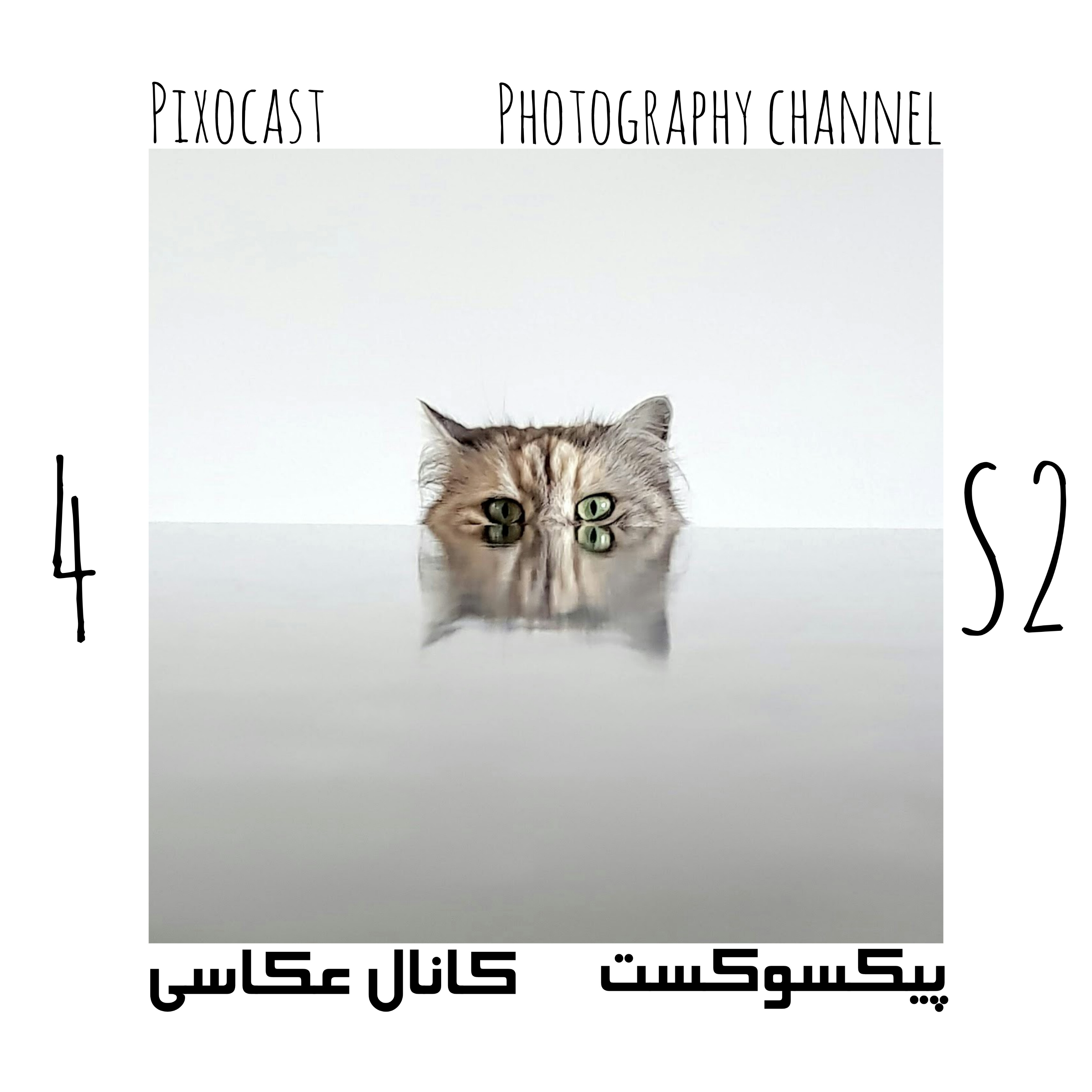 کاور 39-مشتری تو مُخی