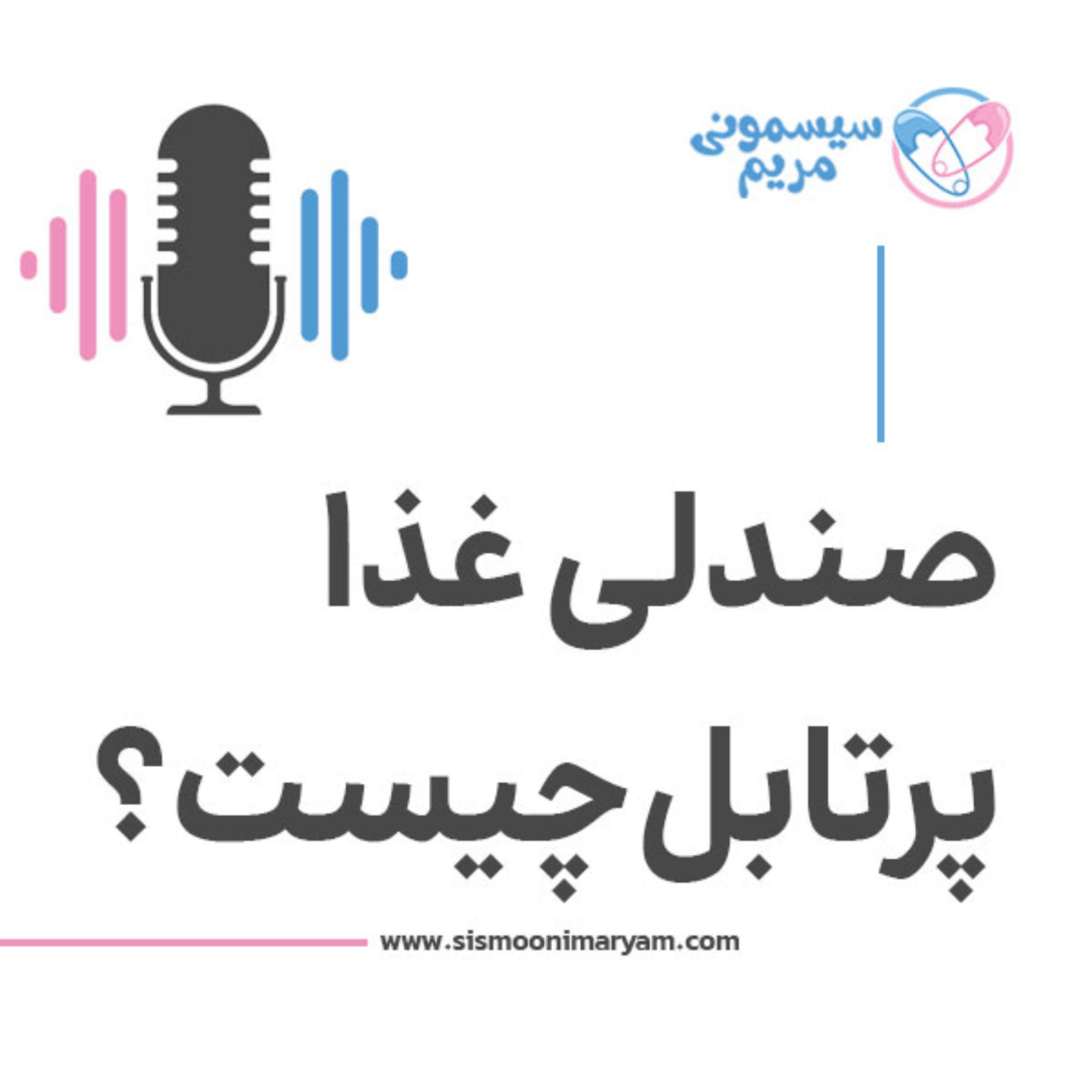 کاور صندلی غذای پرتابل ارزش خرید داره؟!